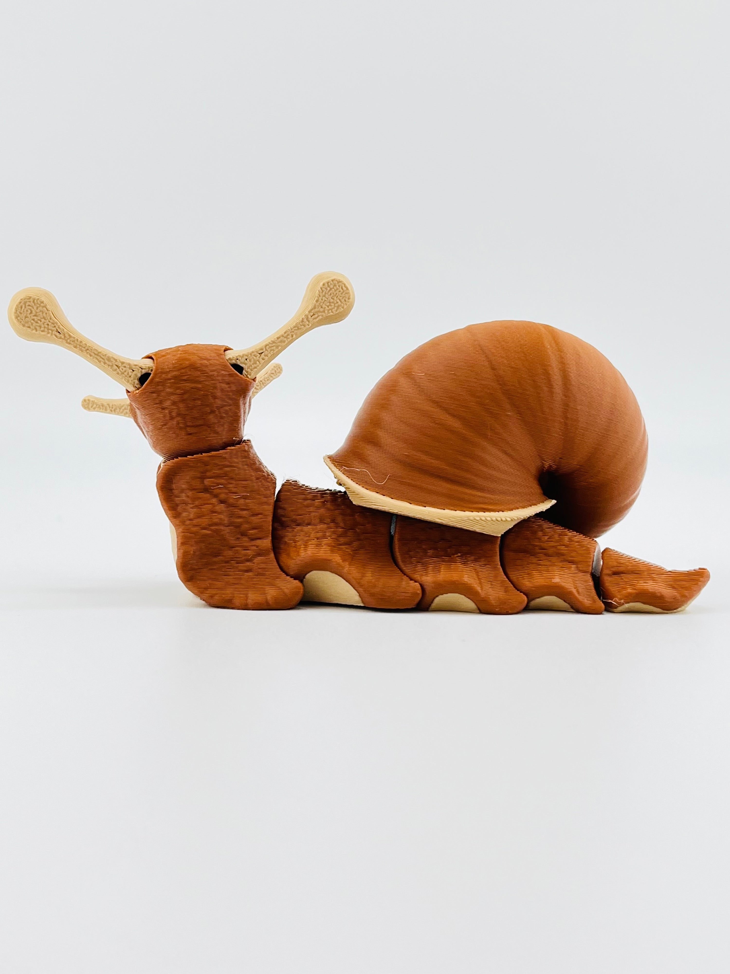 Snail