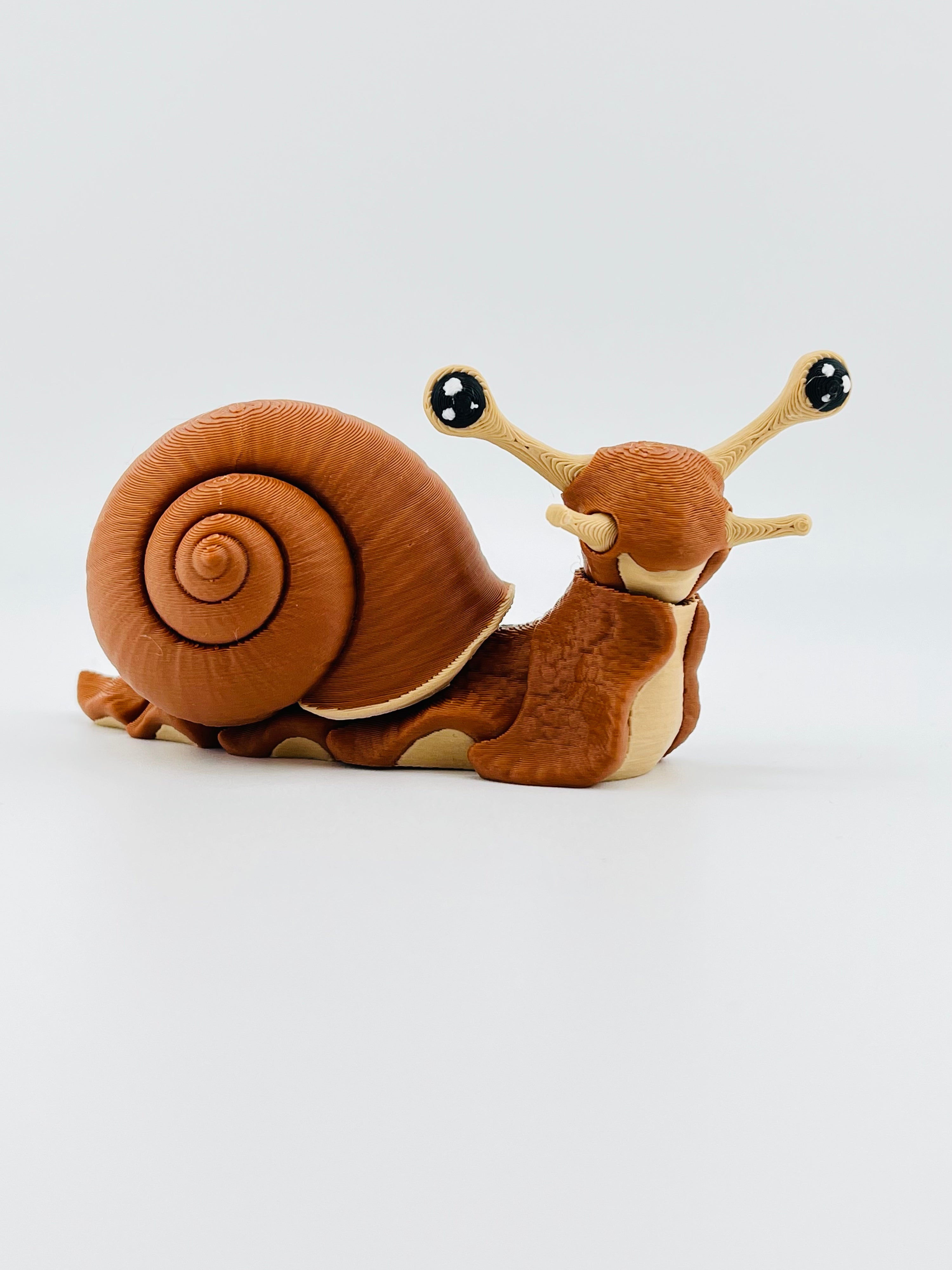 Snail