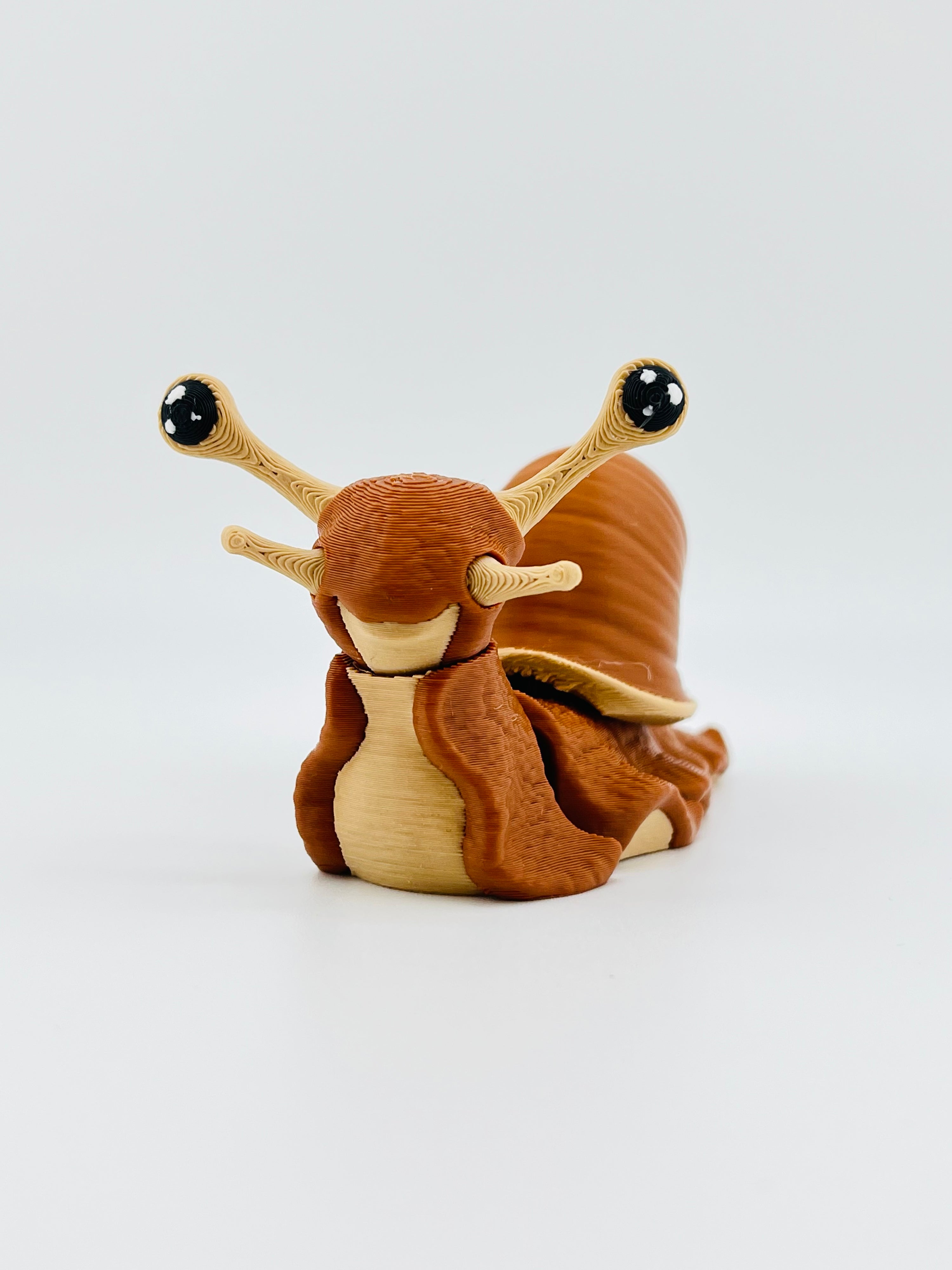 Snail