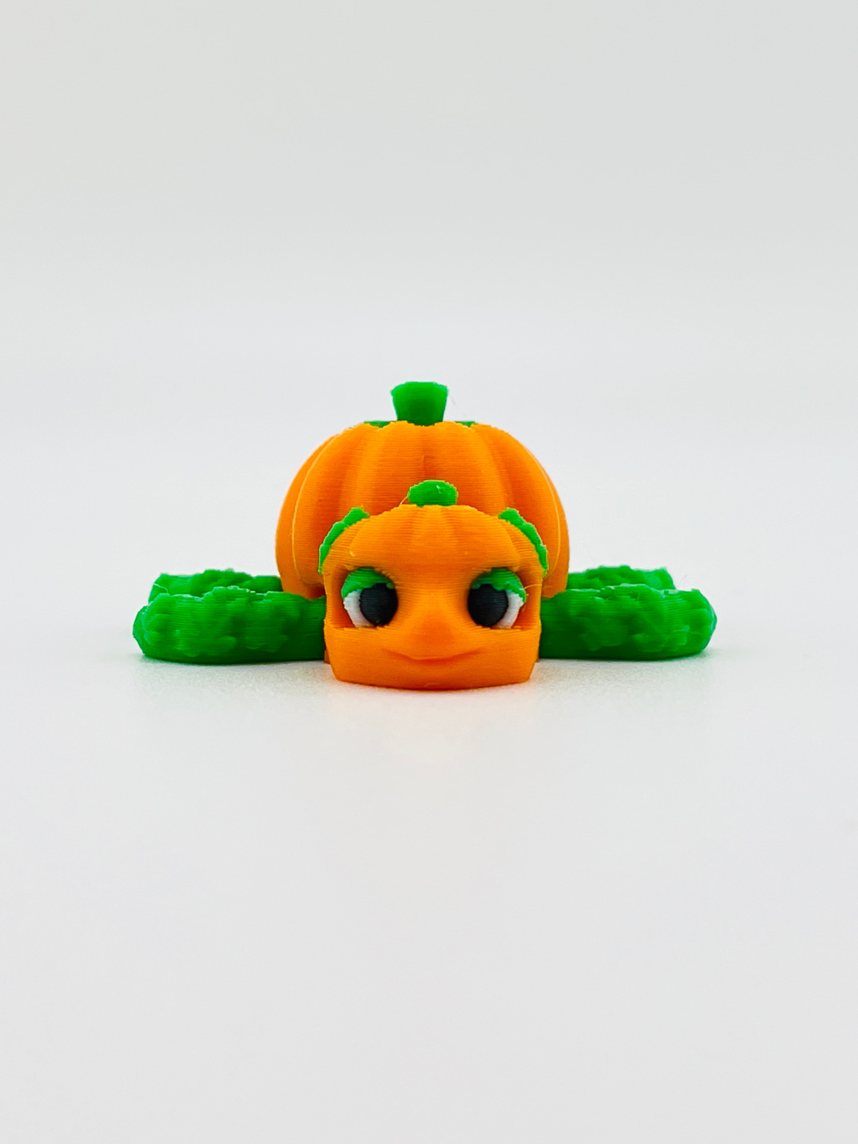 Mini Pumpkin Turtle