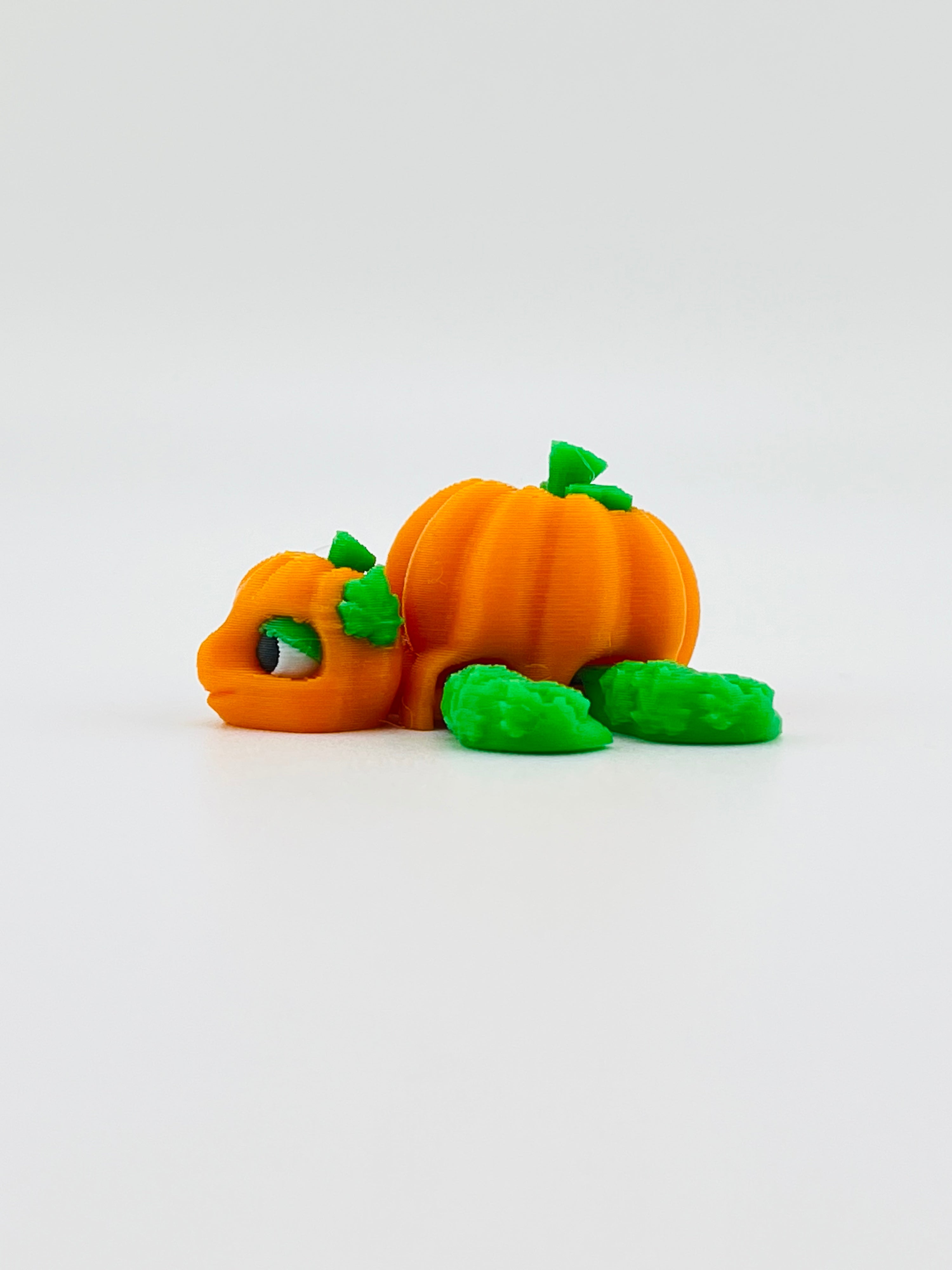 Mini Pumpkin Turtle