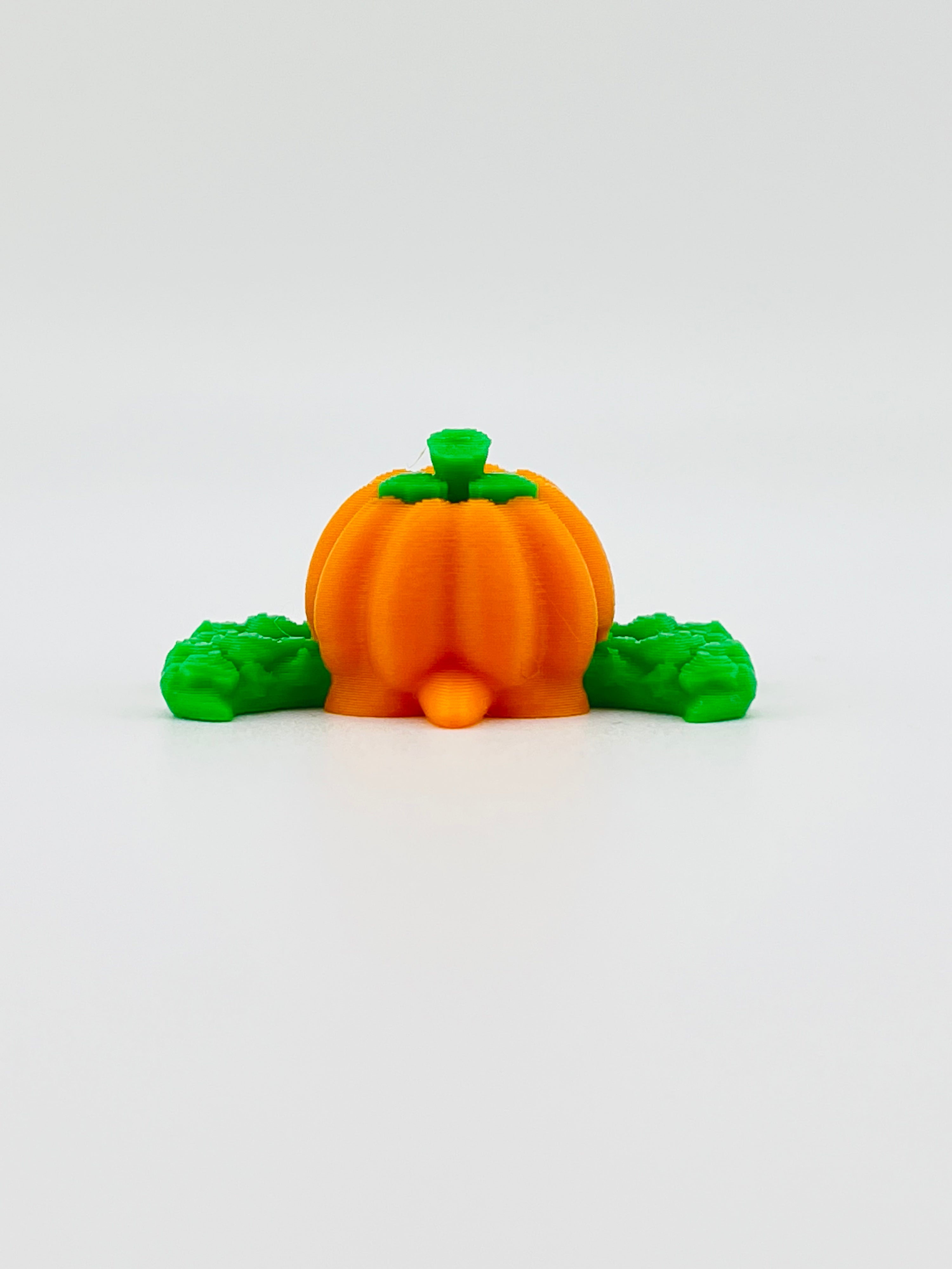Mini Pumpkin Turtle