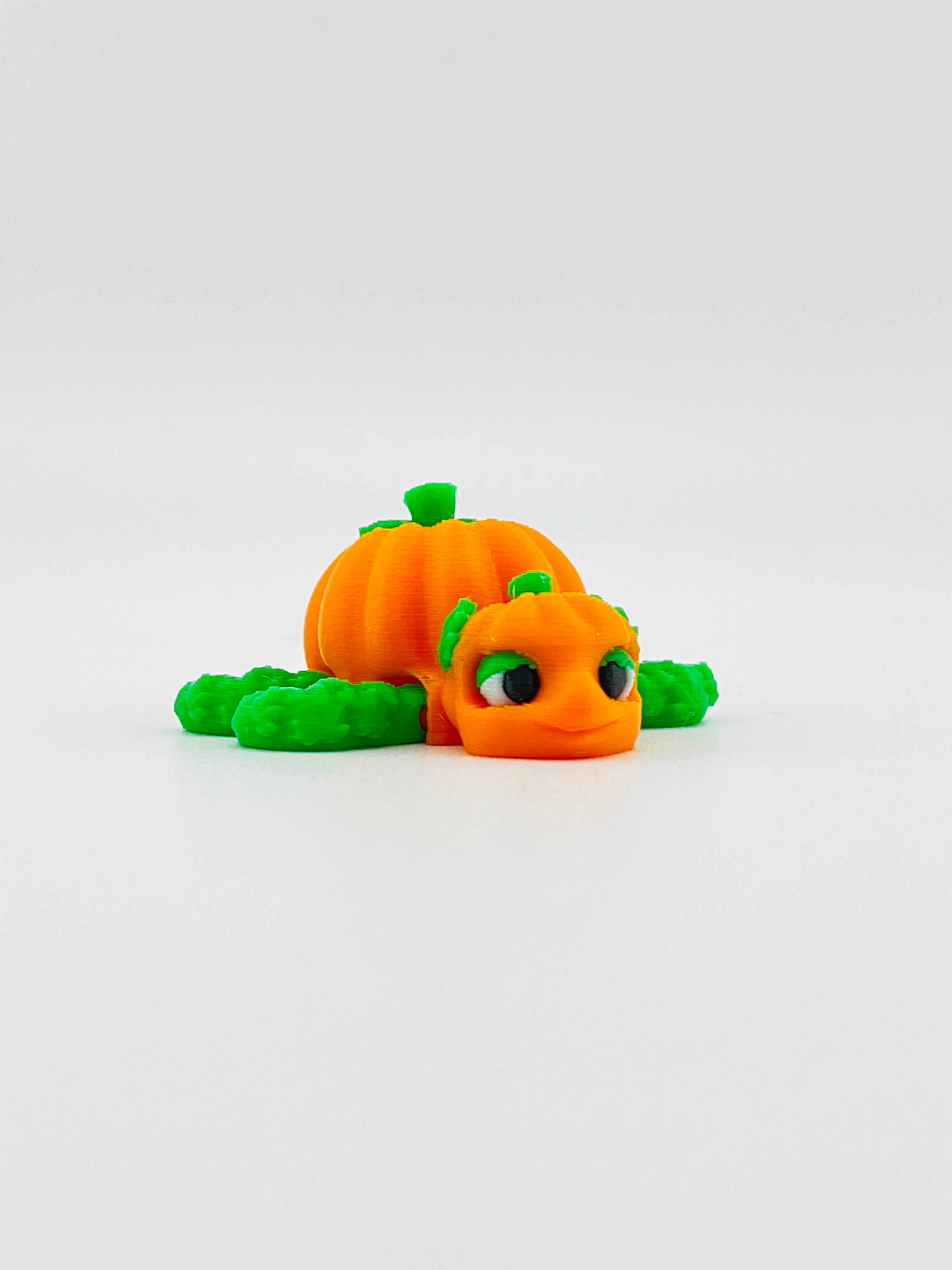 Mini Pumpkin Turtle