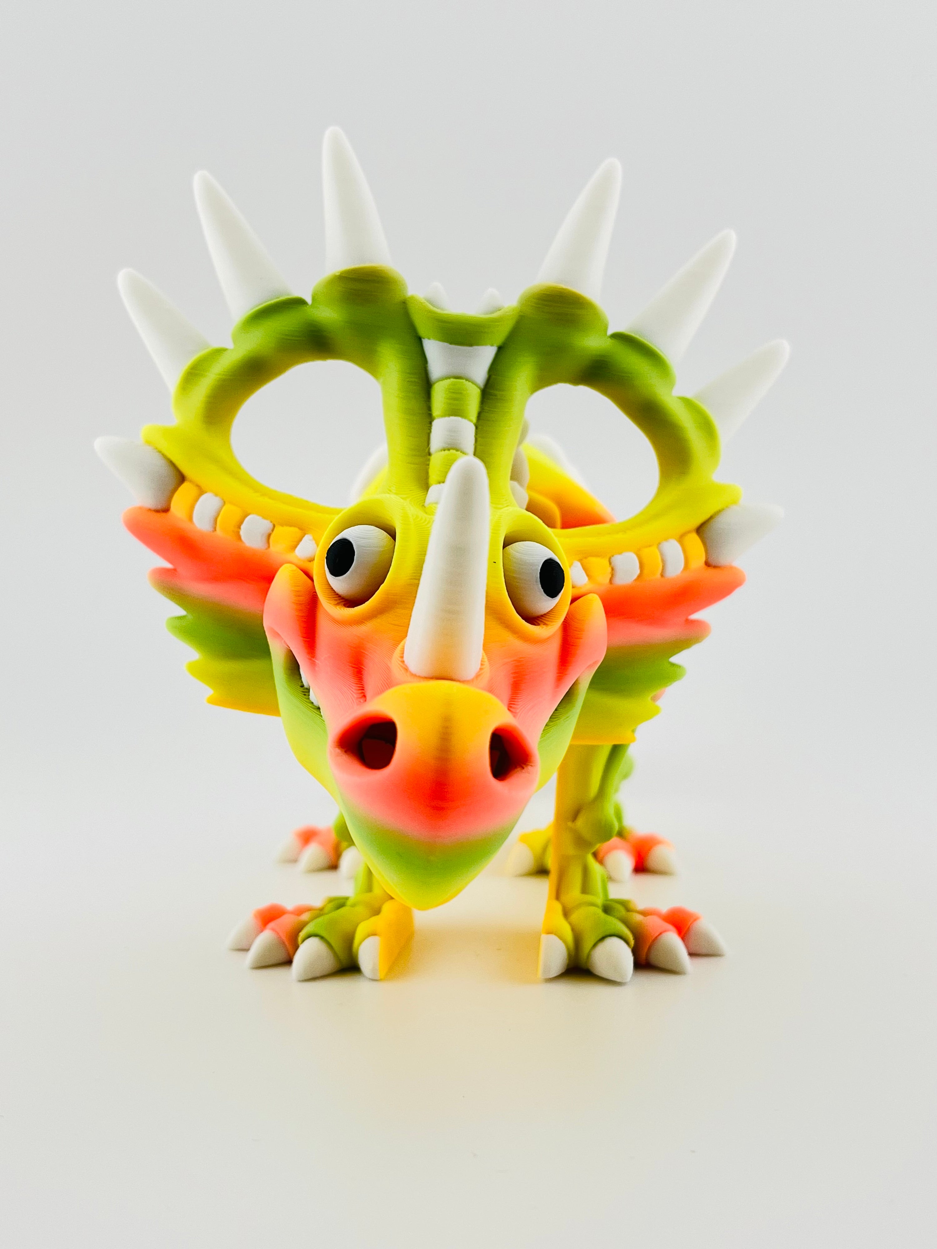 Skeleton Styracosaurus Tropical