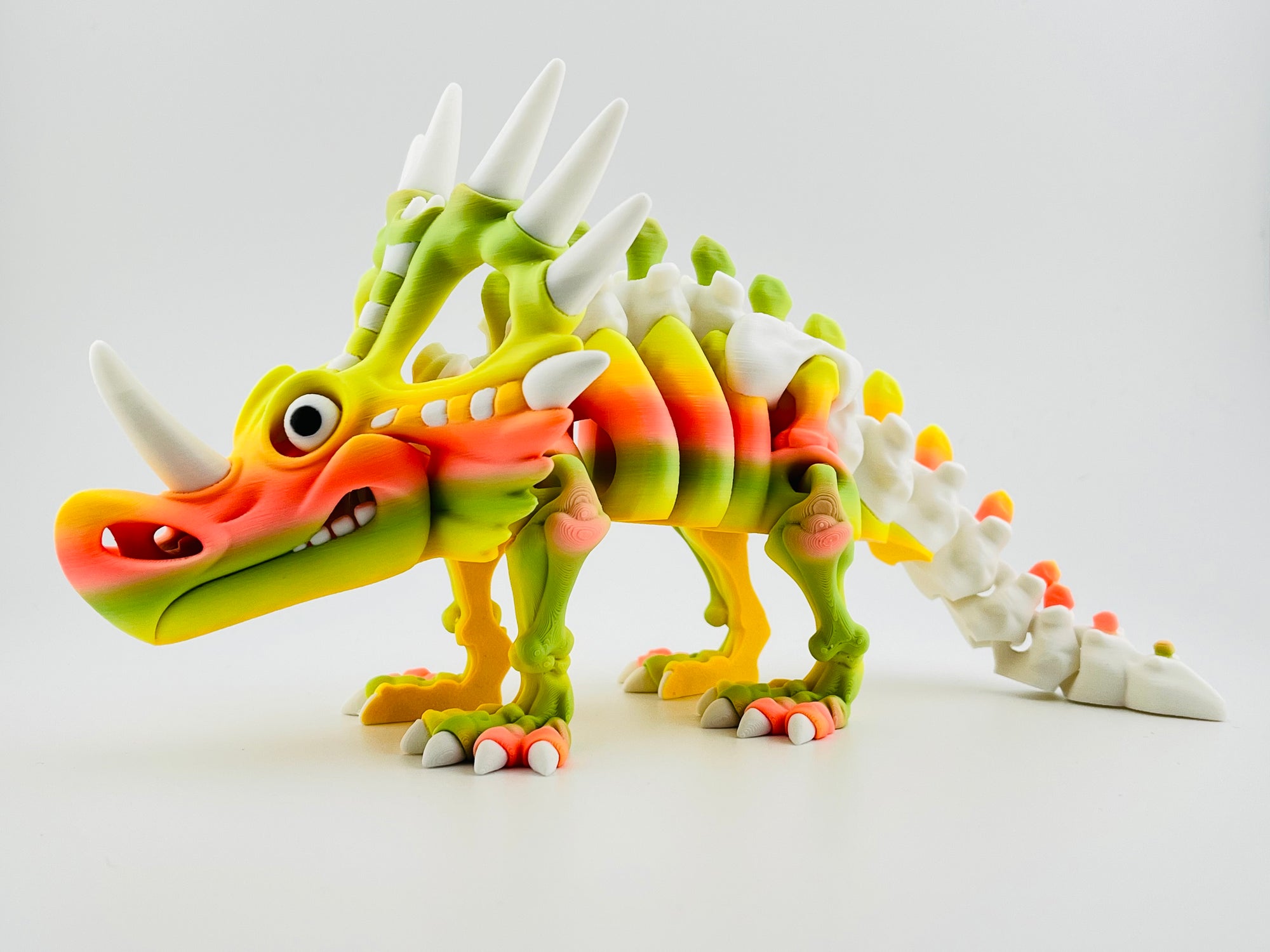 Skeleton Styracosaurus Tropical