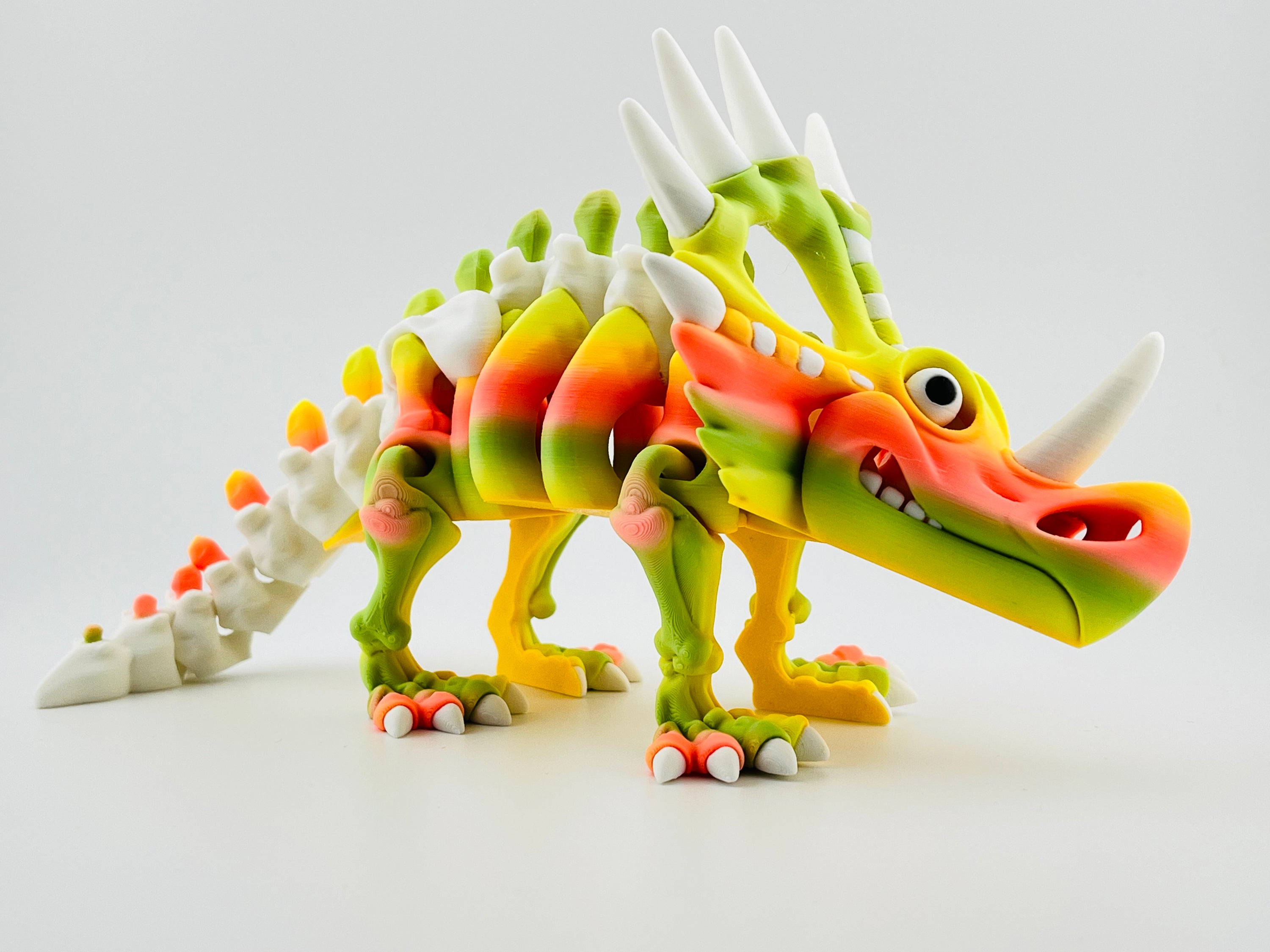 Skeleton Styracosaurus Tropical