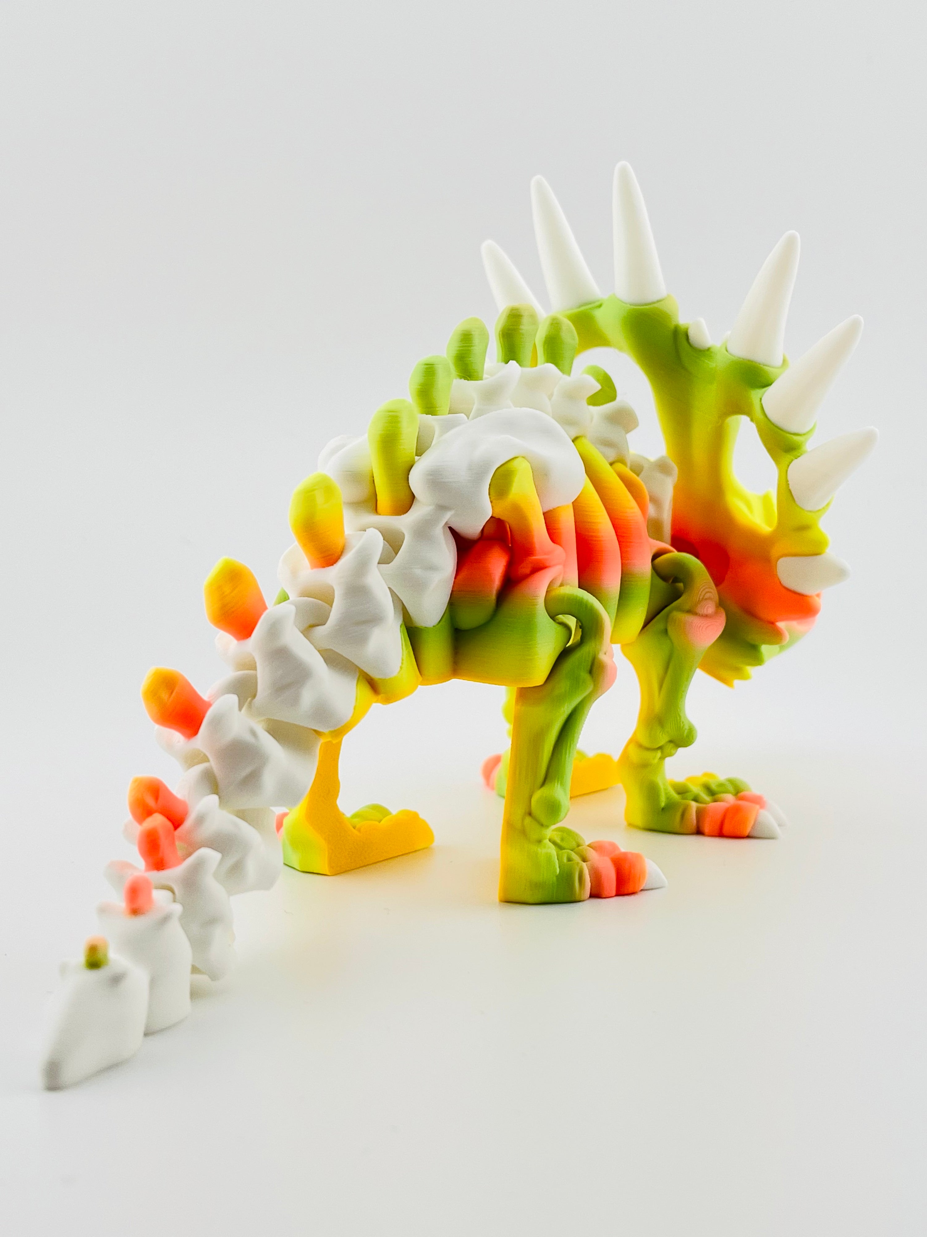 Skeleton Styracosaurus Tropical