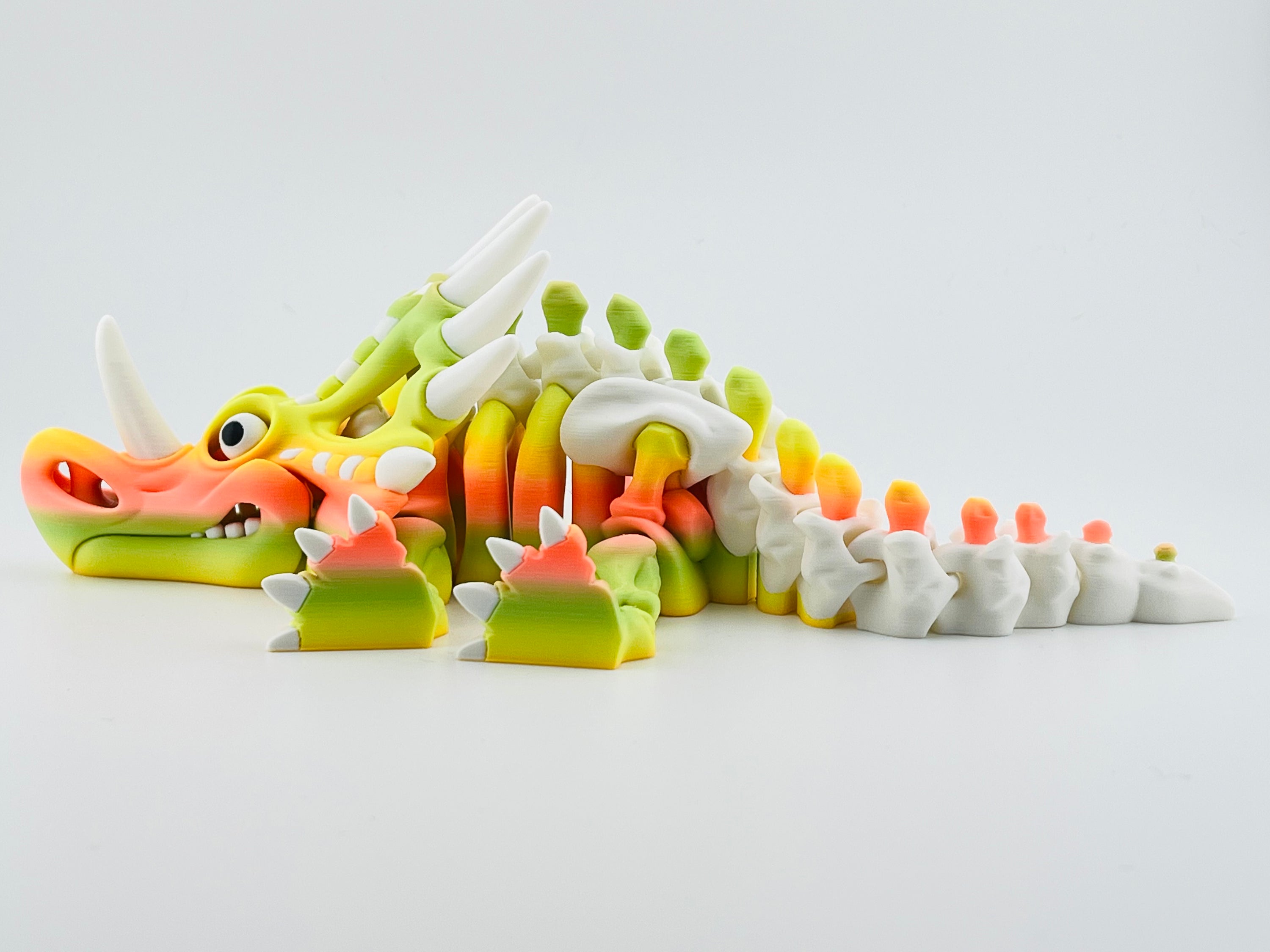 Skeleton Styracosaurus Tropical