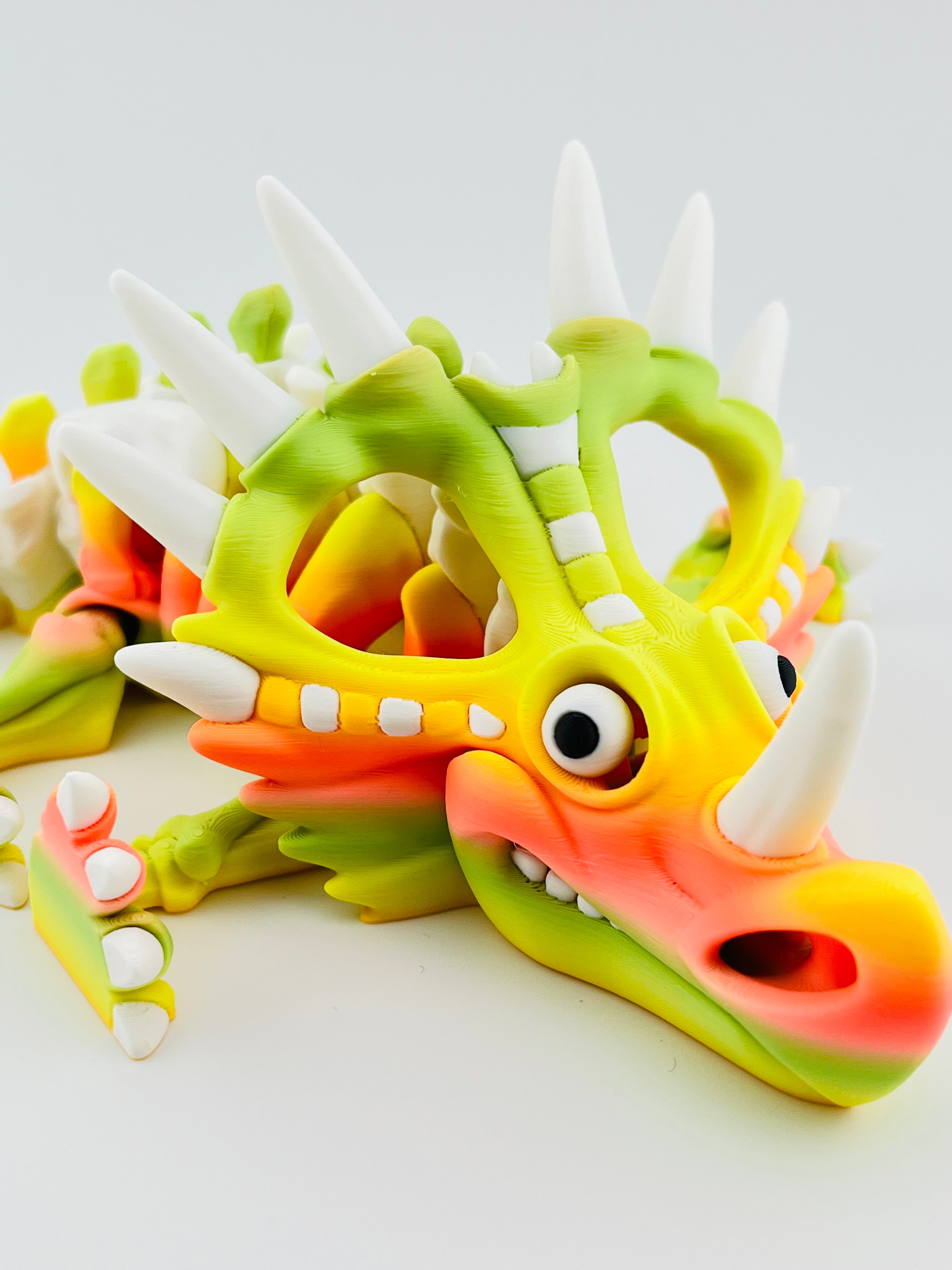 Skeleton Styracosaurus Tropical