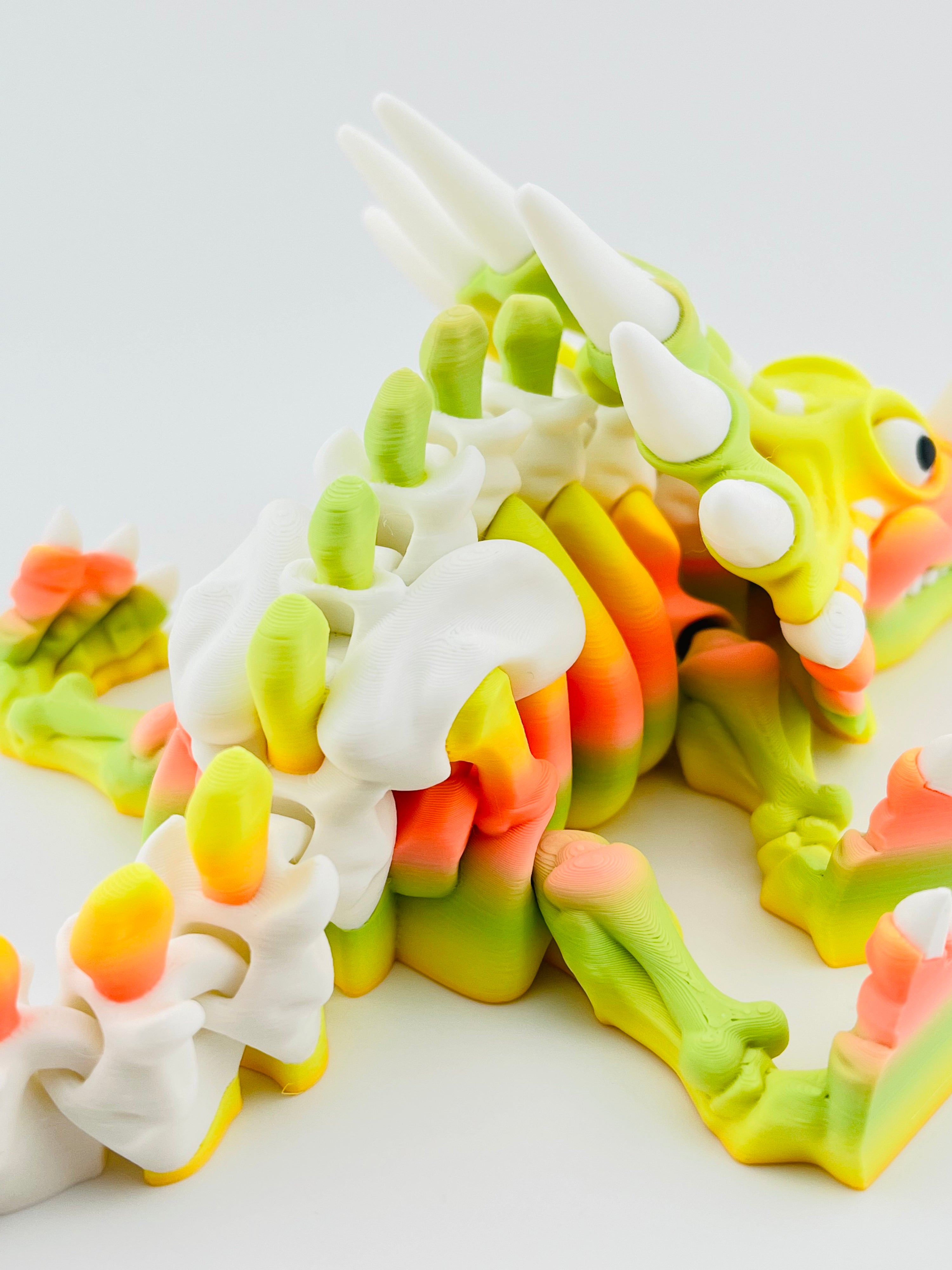 Skeleton Styracosaurus Tropical