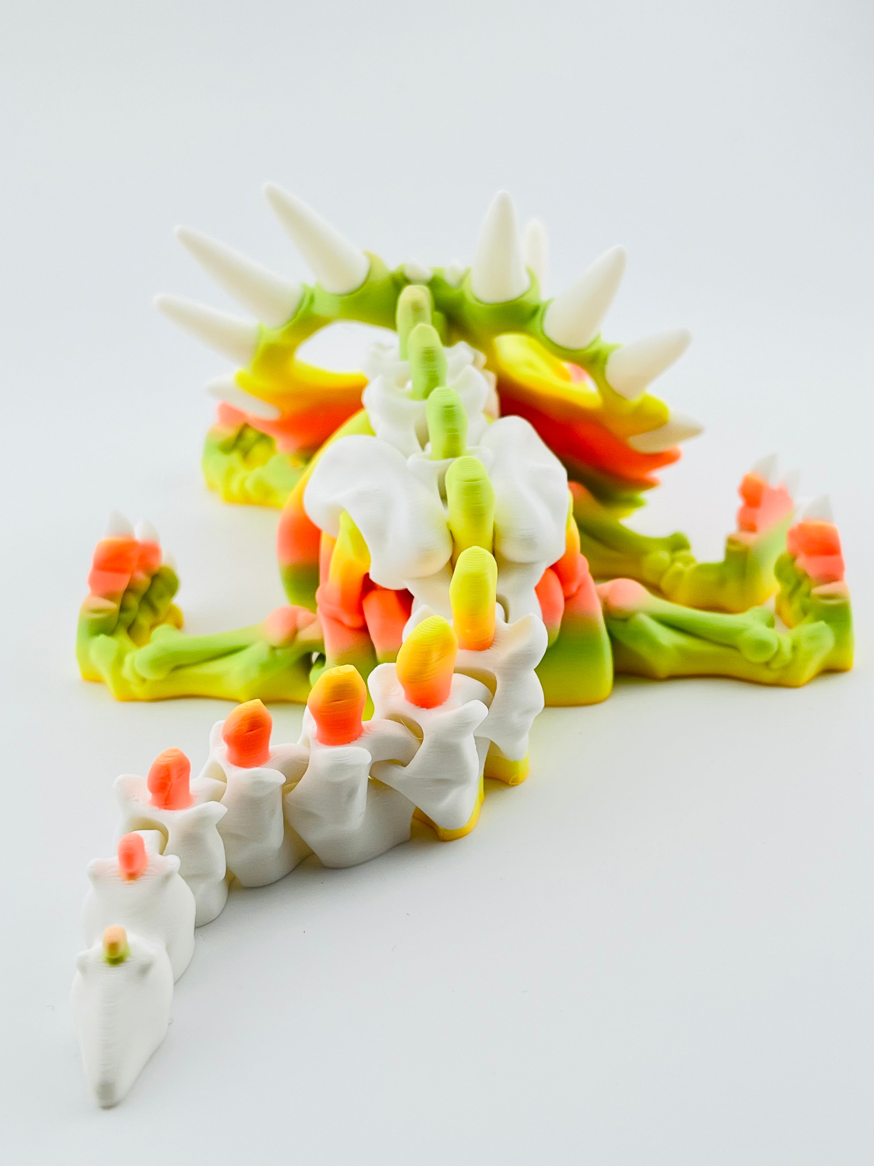 Skeleton Styracosaurus Tropical