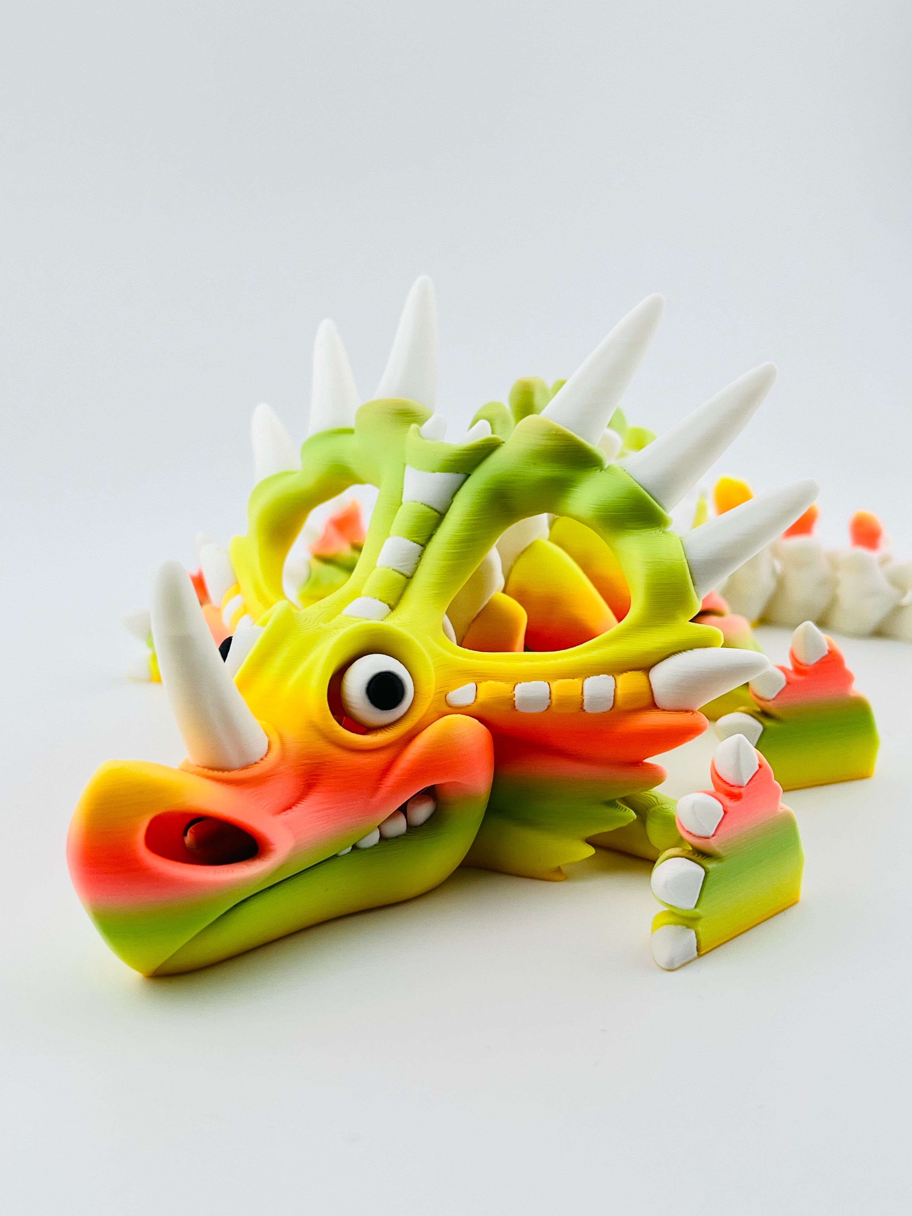 Skeleton Styracosaurus Tropical