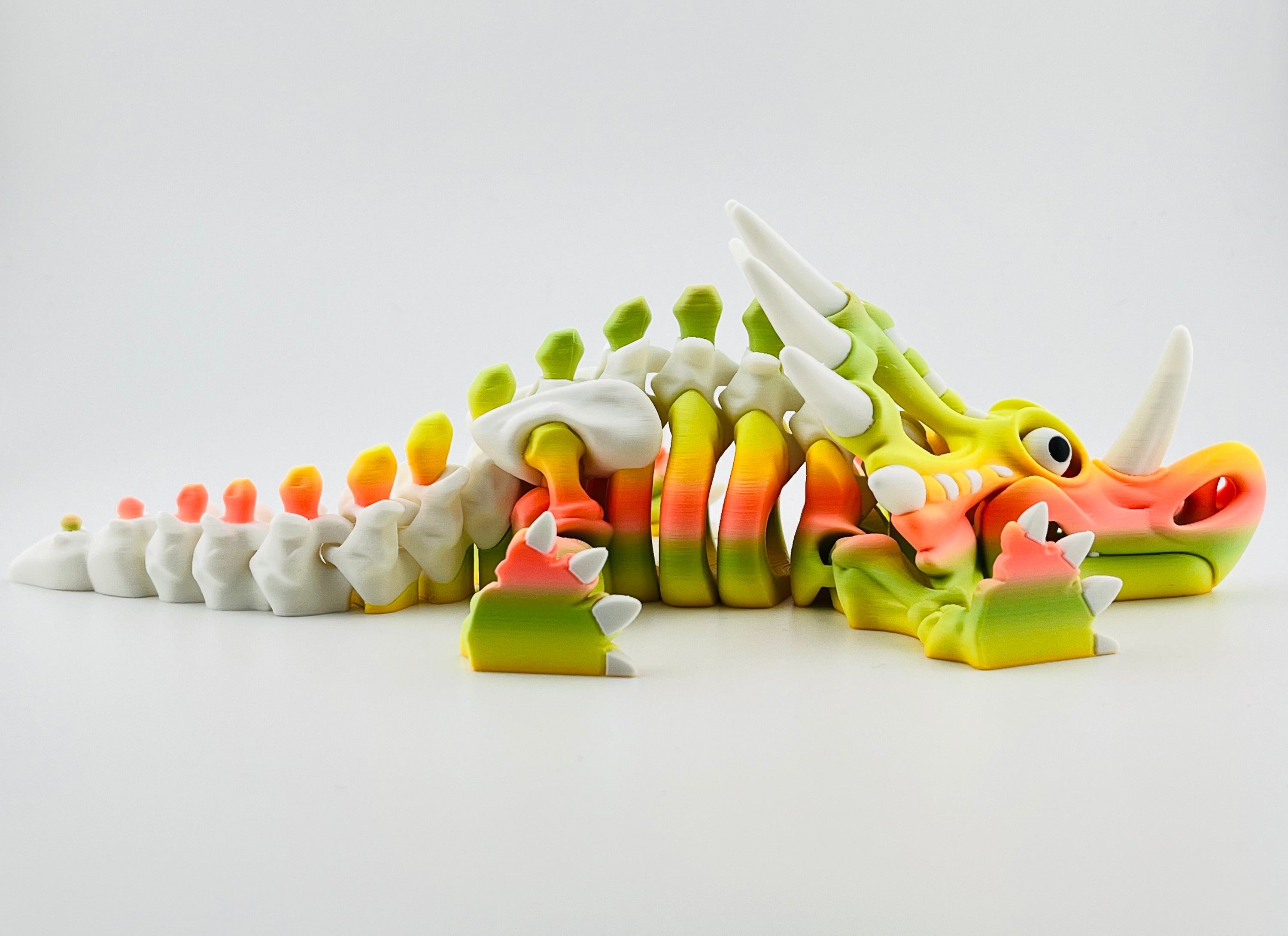 Skeleton Styracosaurus Tropical