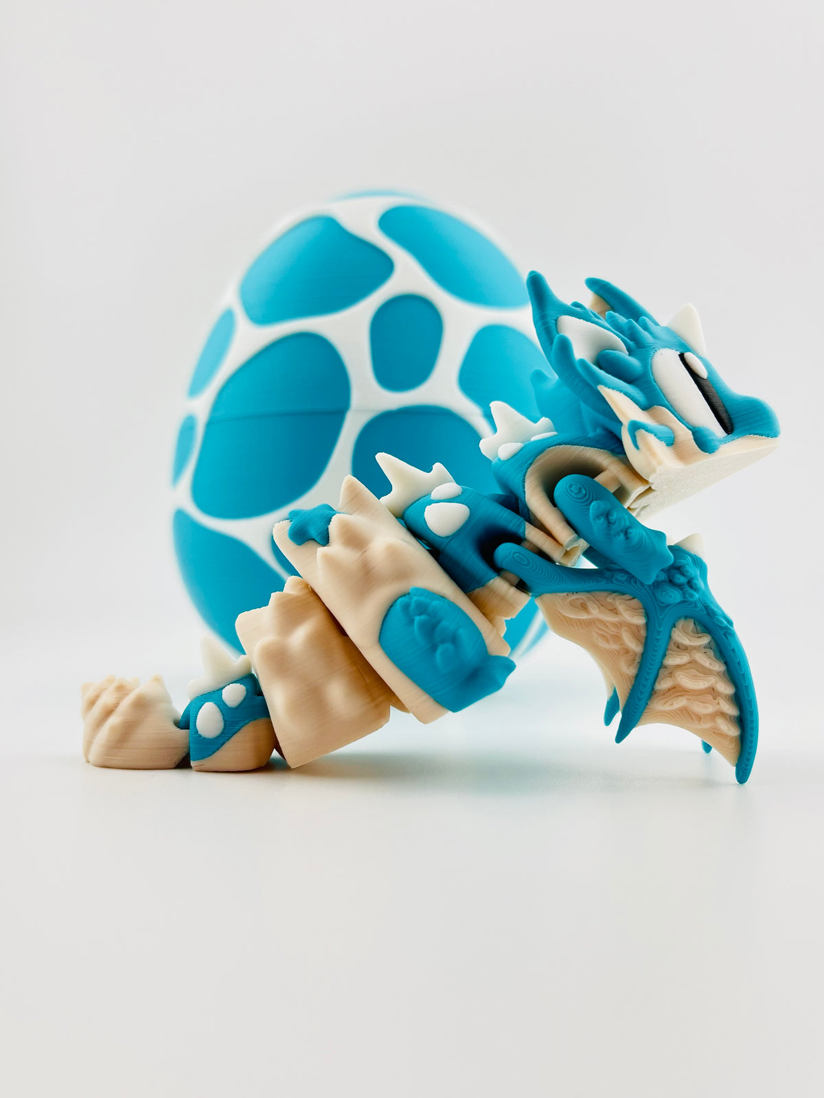 Seashell Egg and Seashell Dragon