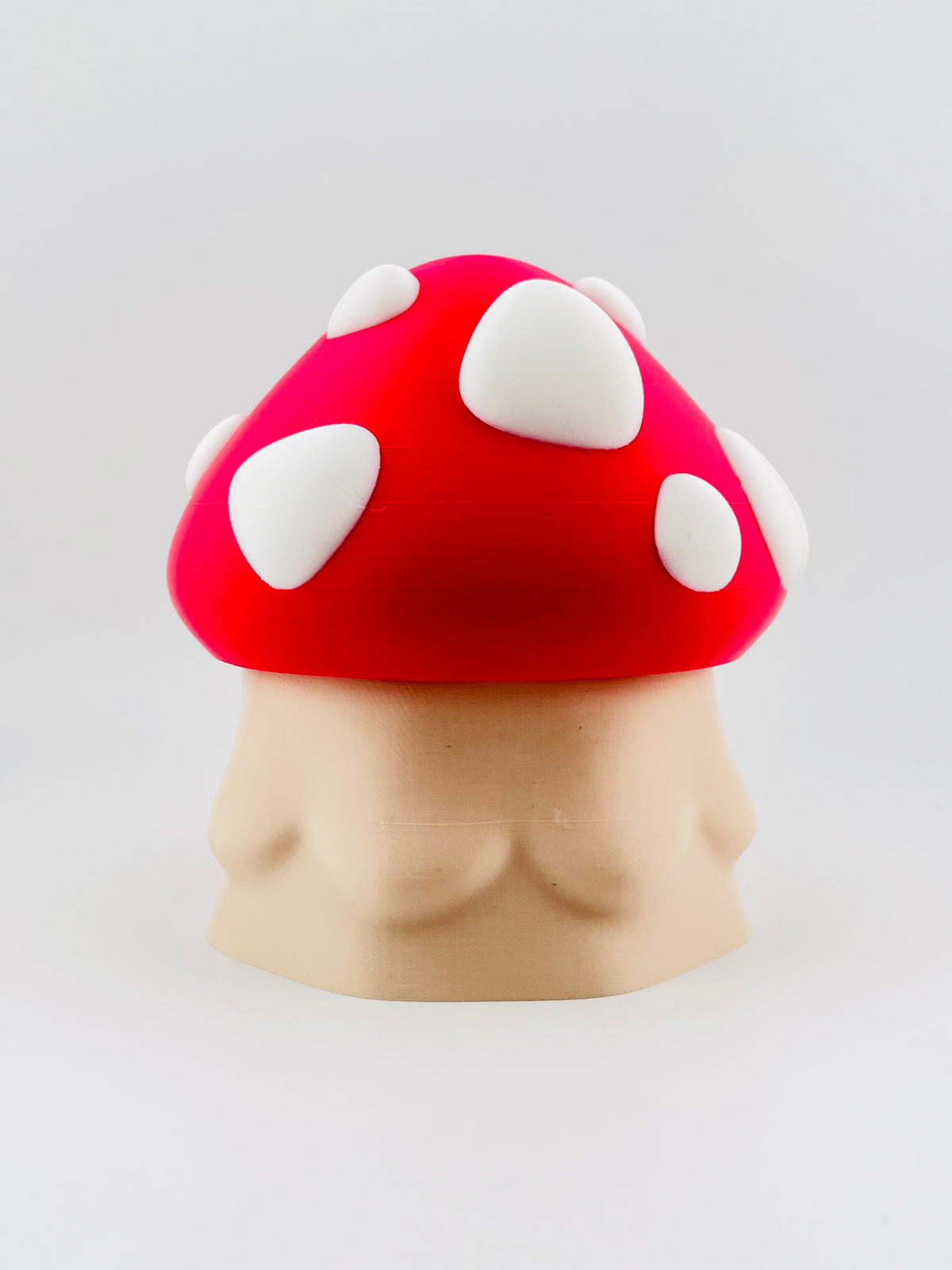 Mushroom Egg and Mushroom Dragon