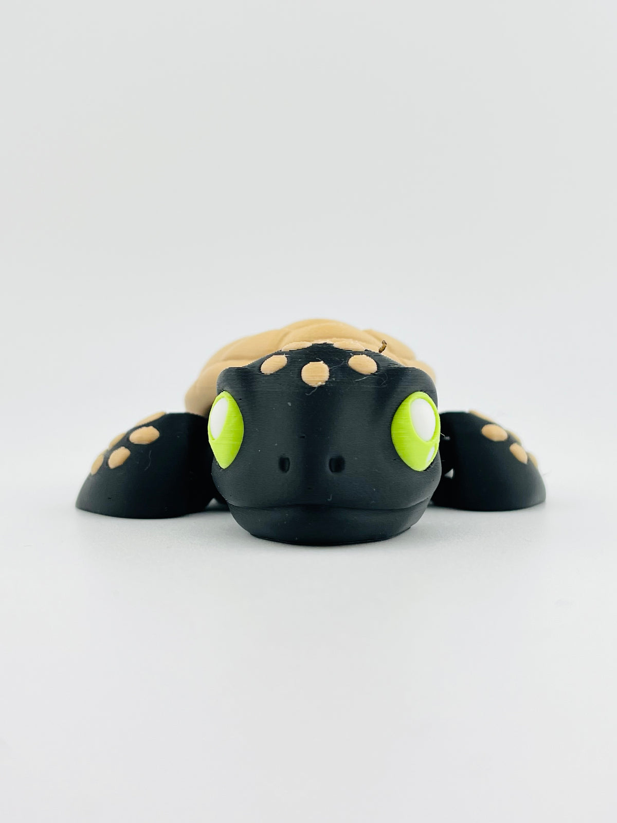 Halloween Turtle