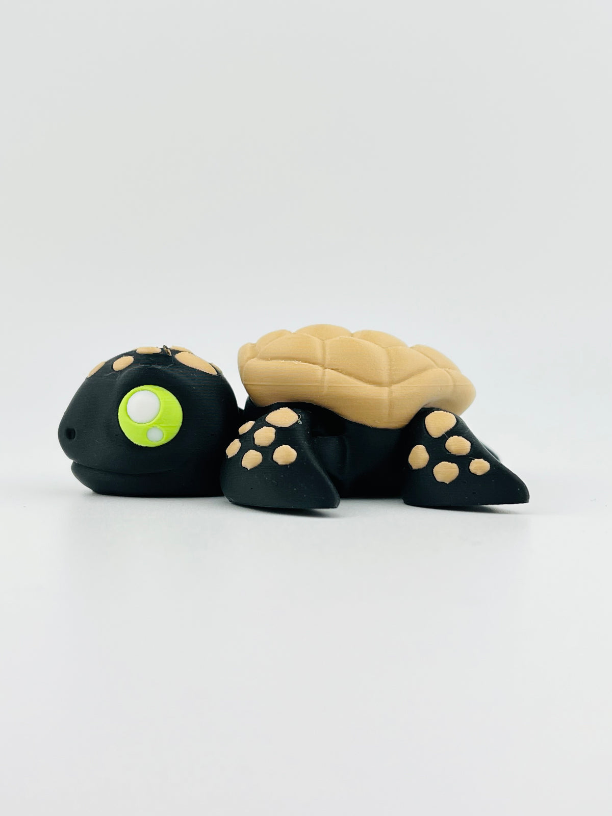 Halloween Turtle