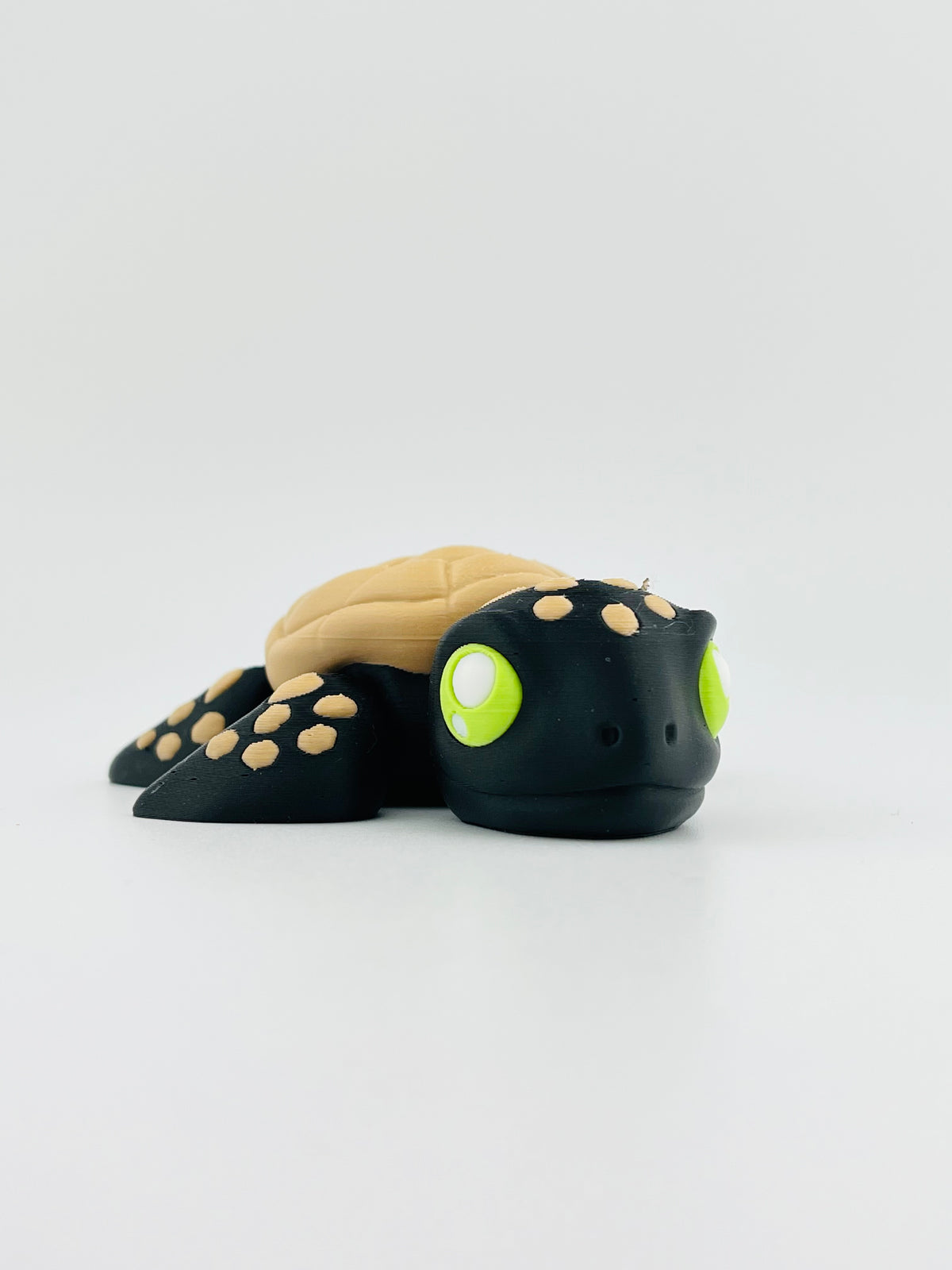 Halloween Turtle