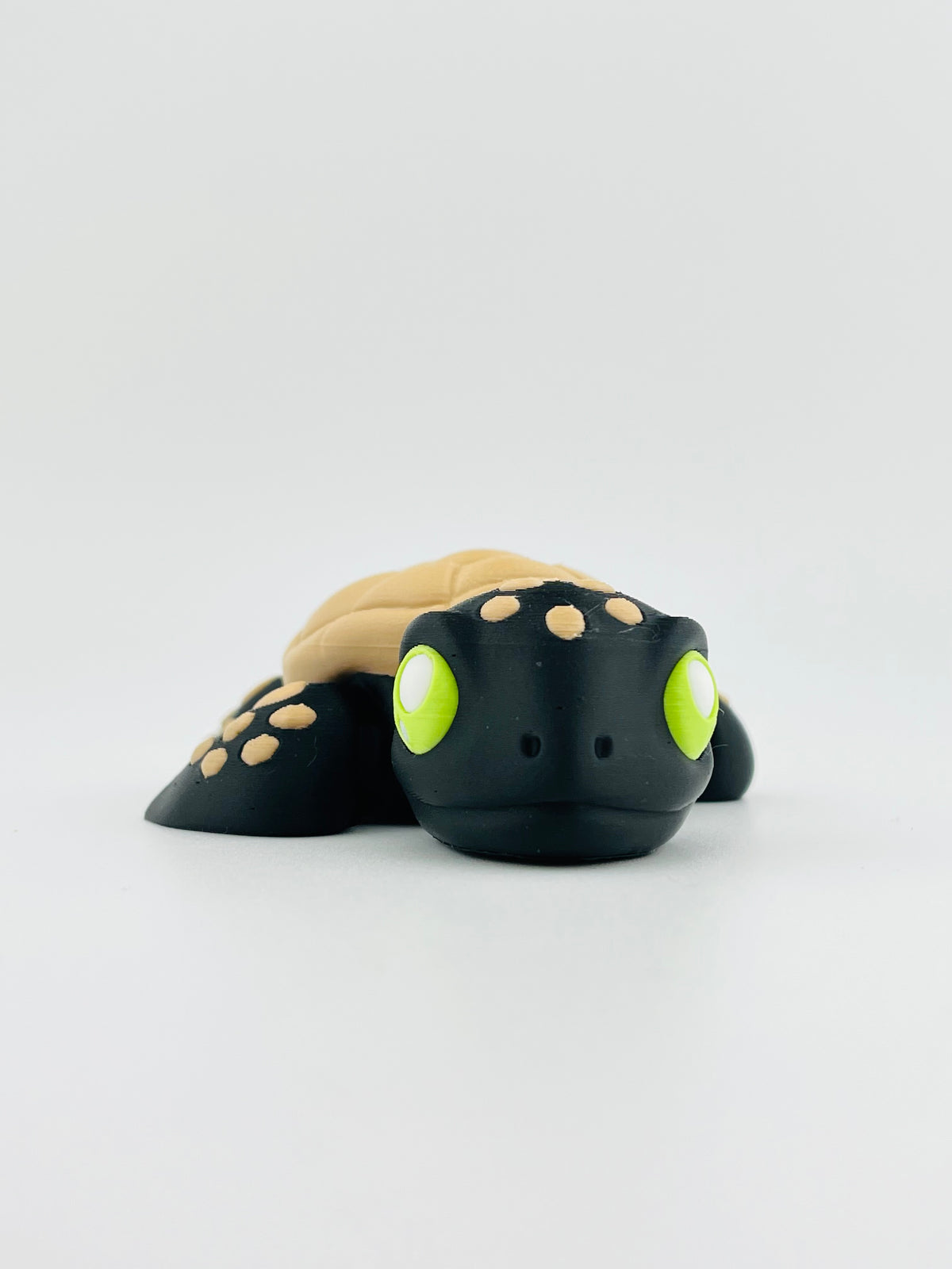 Halloween Turtle
