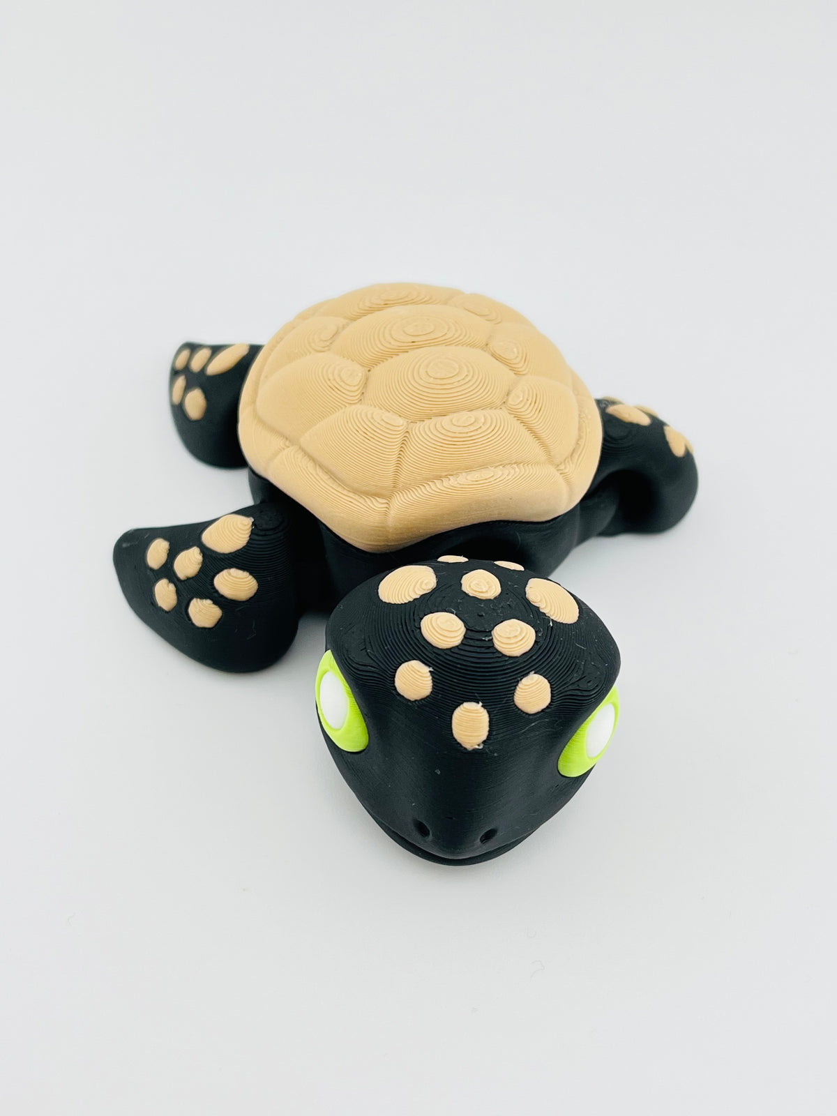 Halloween Turtle