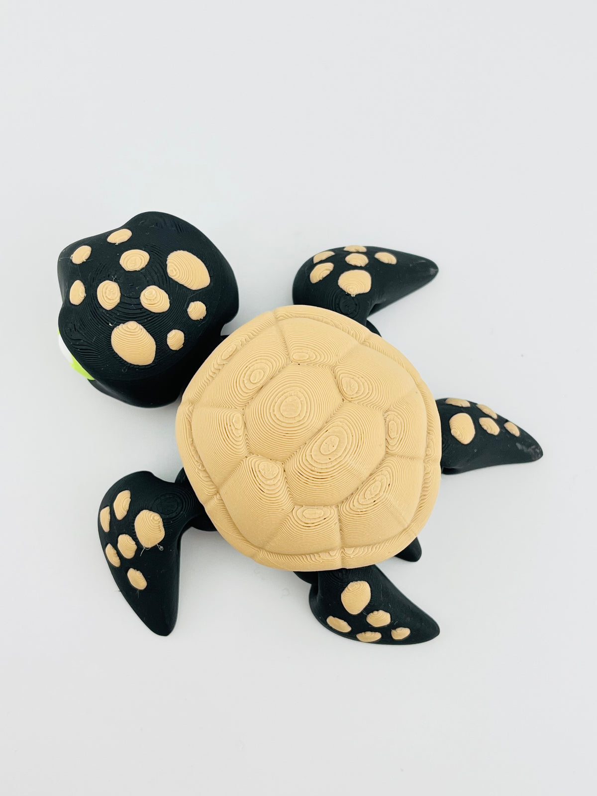 Halloween Turtle