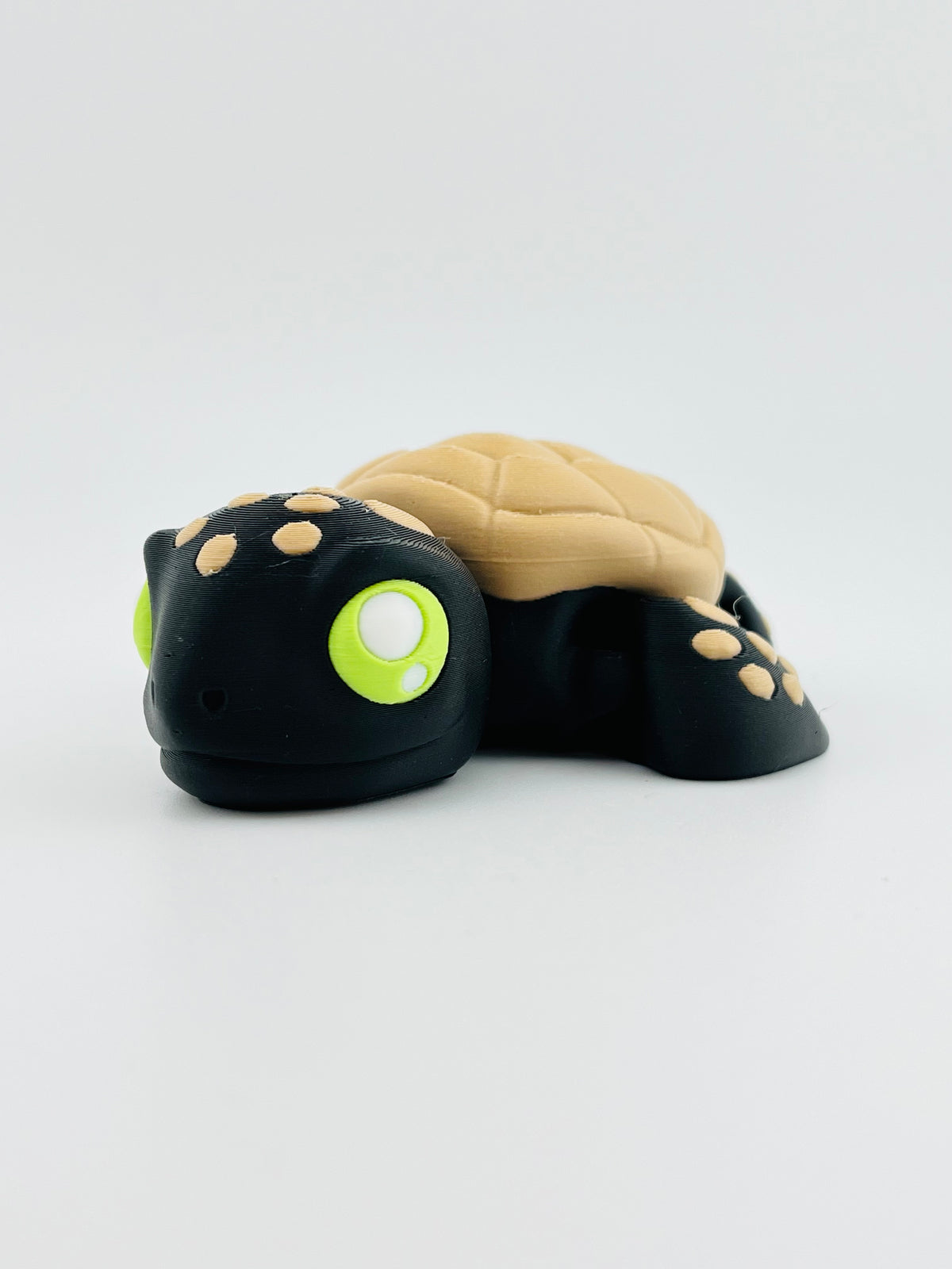 Halloween Turtle
