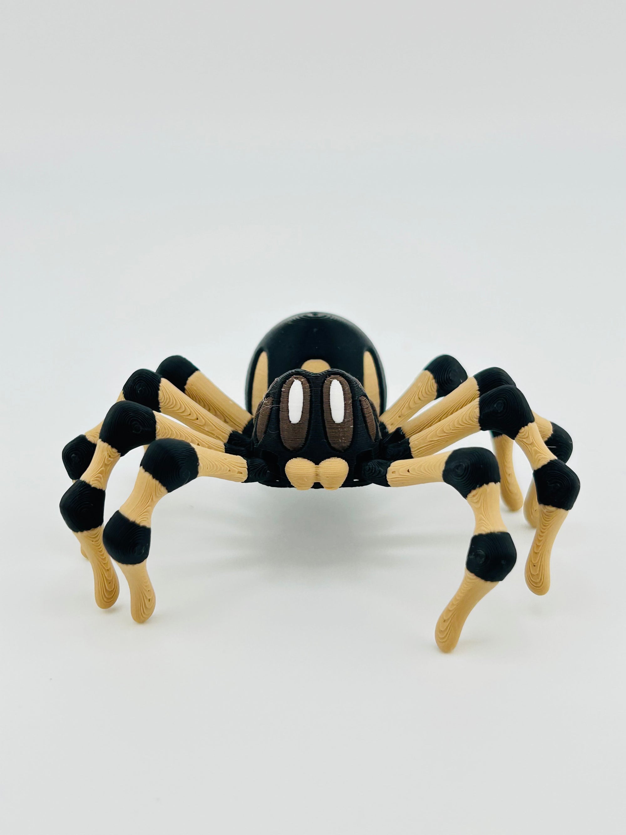 Brown Spider