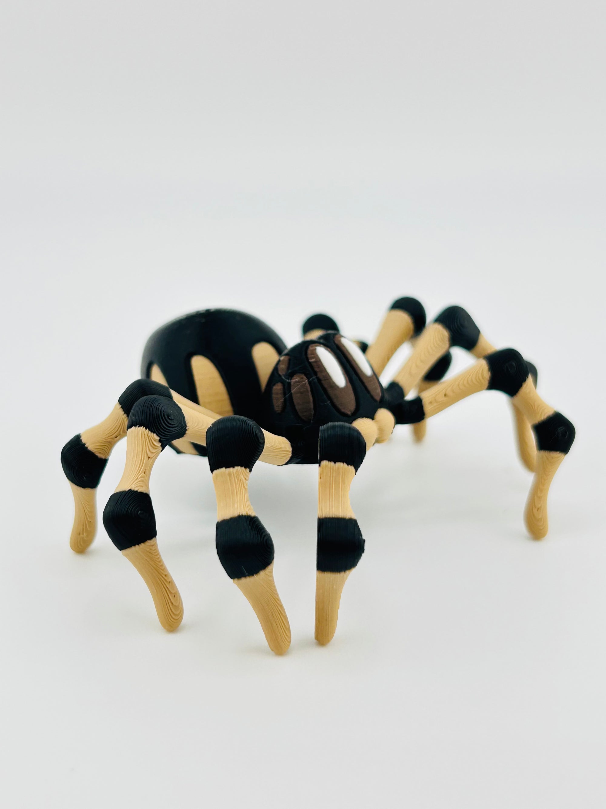 Brown Spider