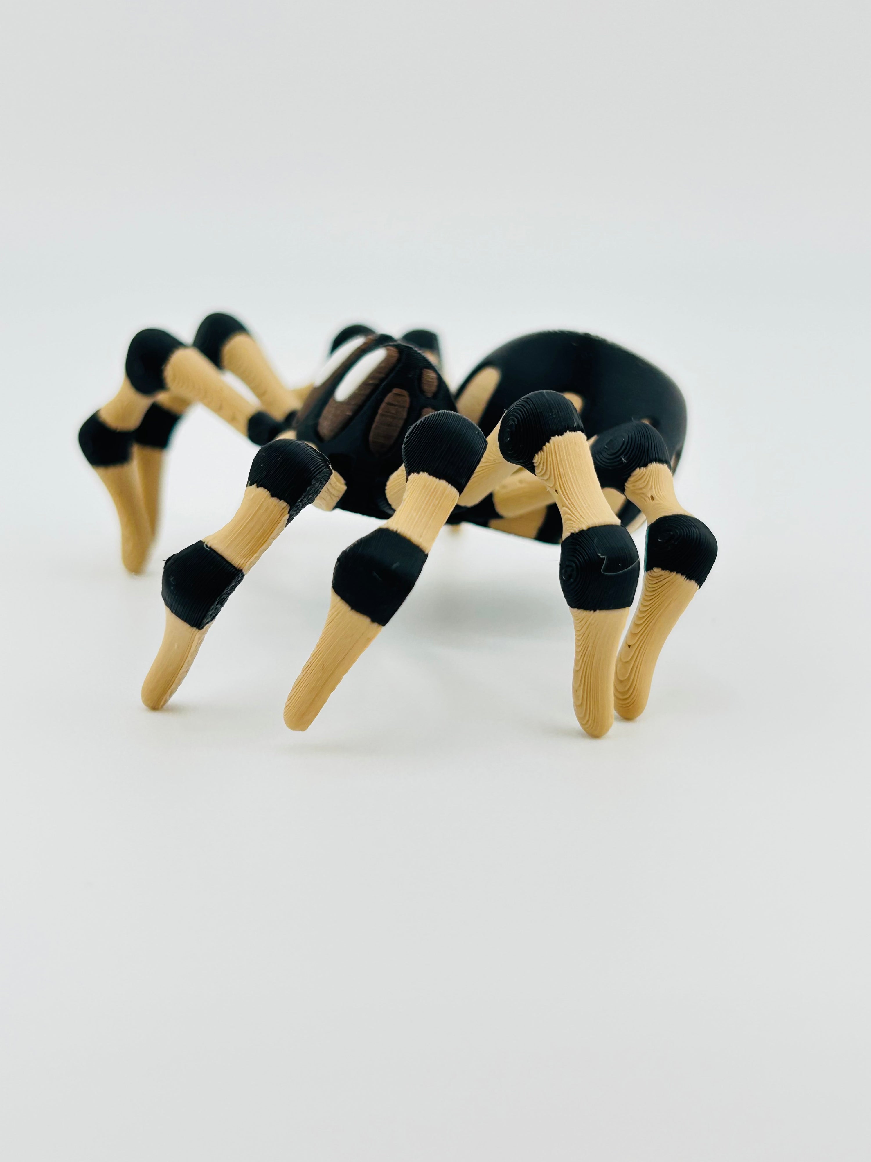 Brown Spider