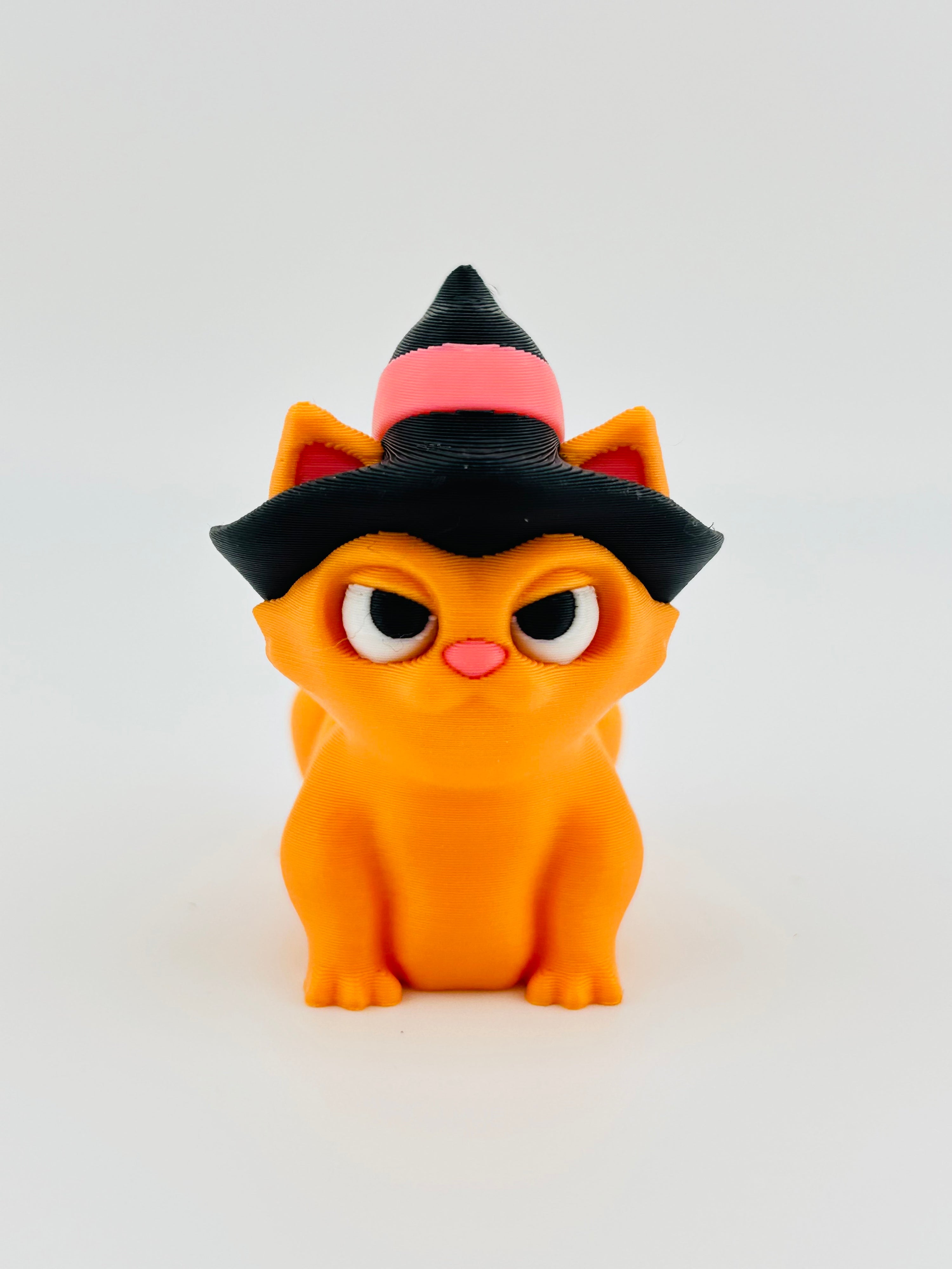 Witch Cat With Hat