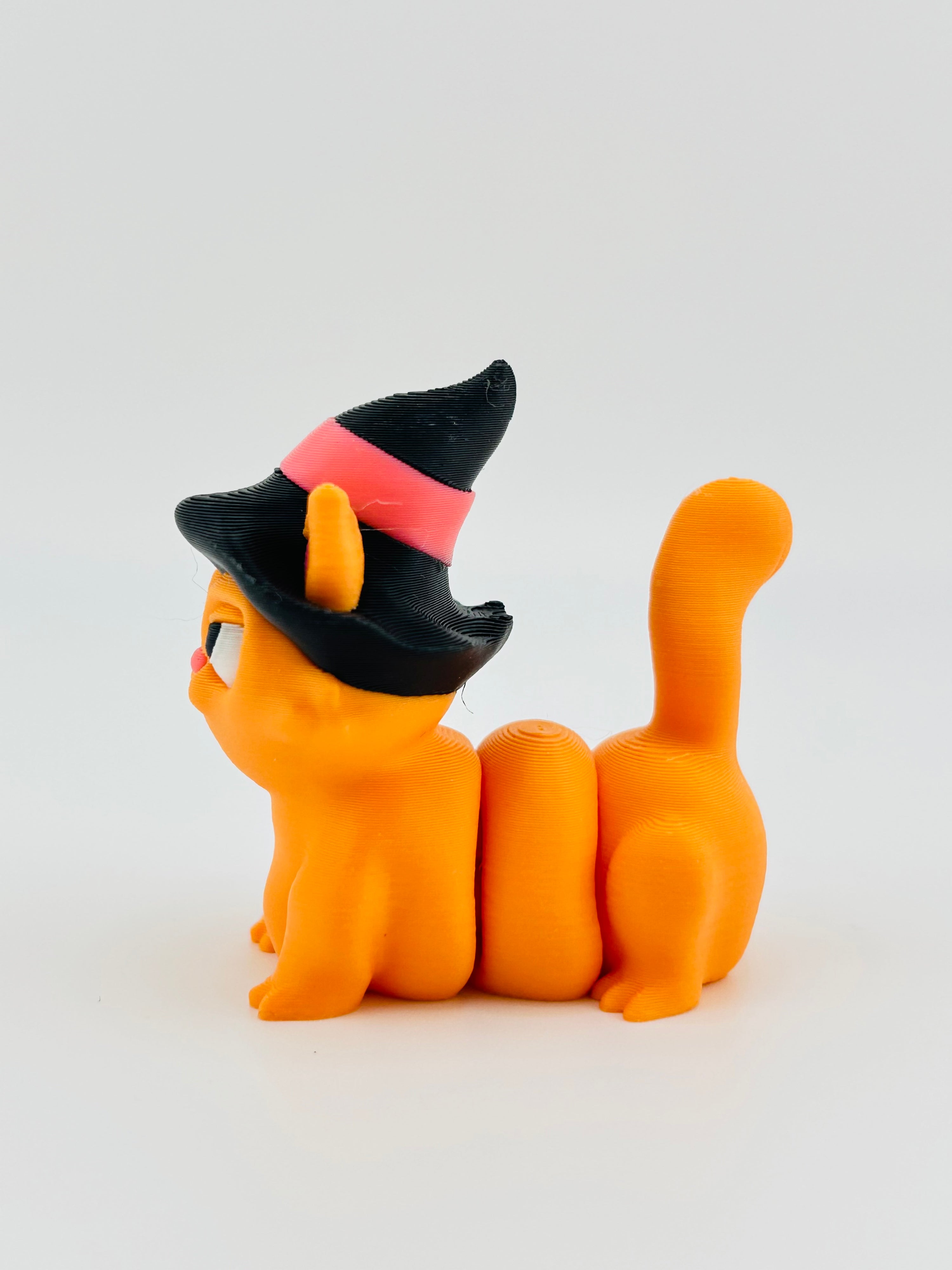Witch Cat With Hat