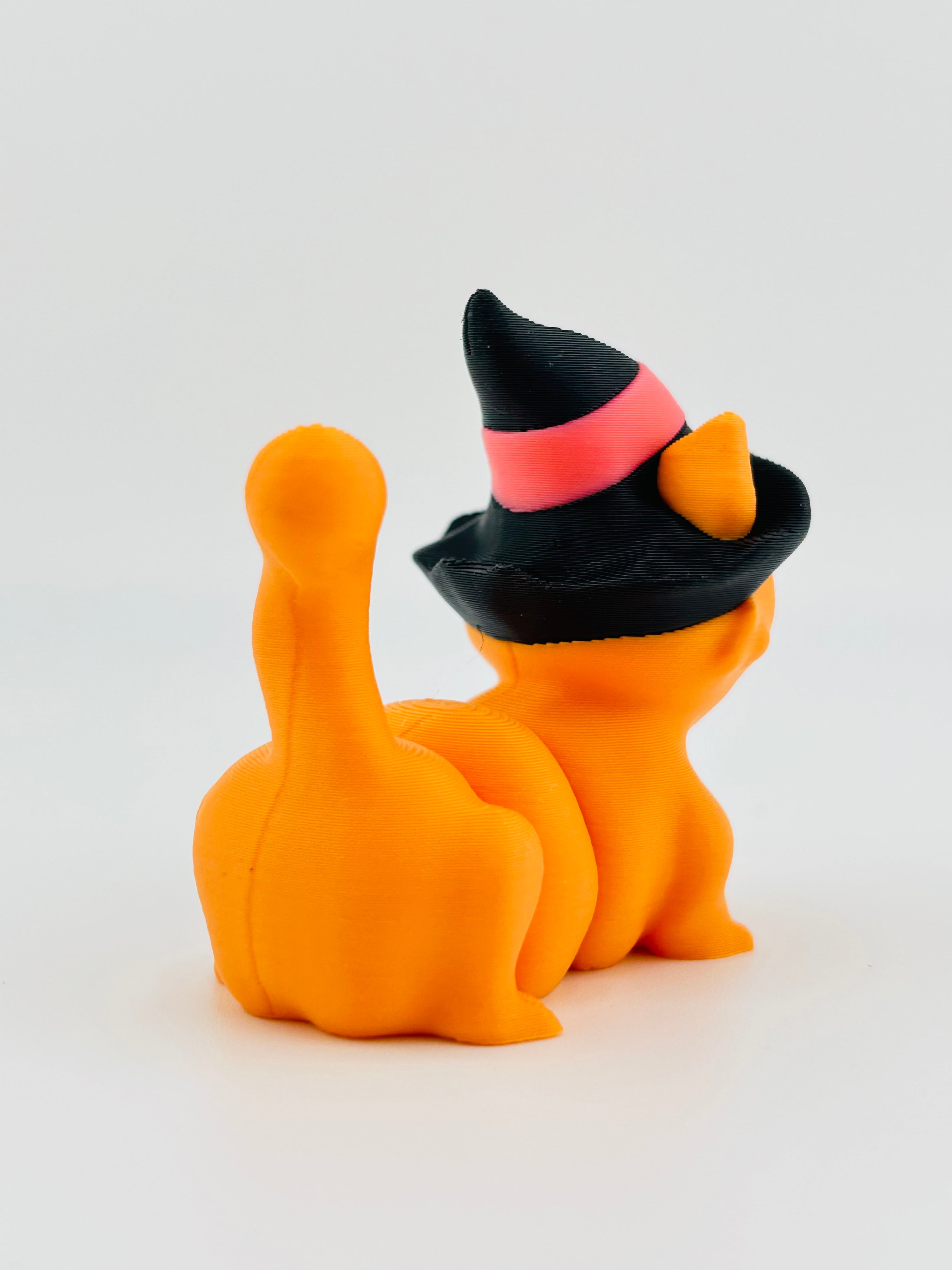 Witch Cat With Hat