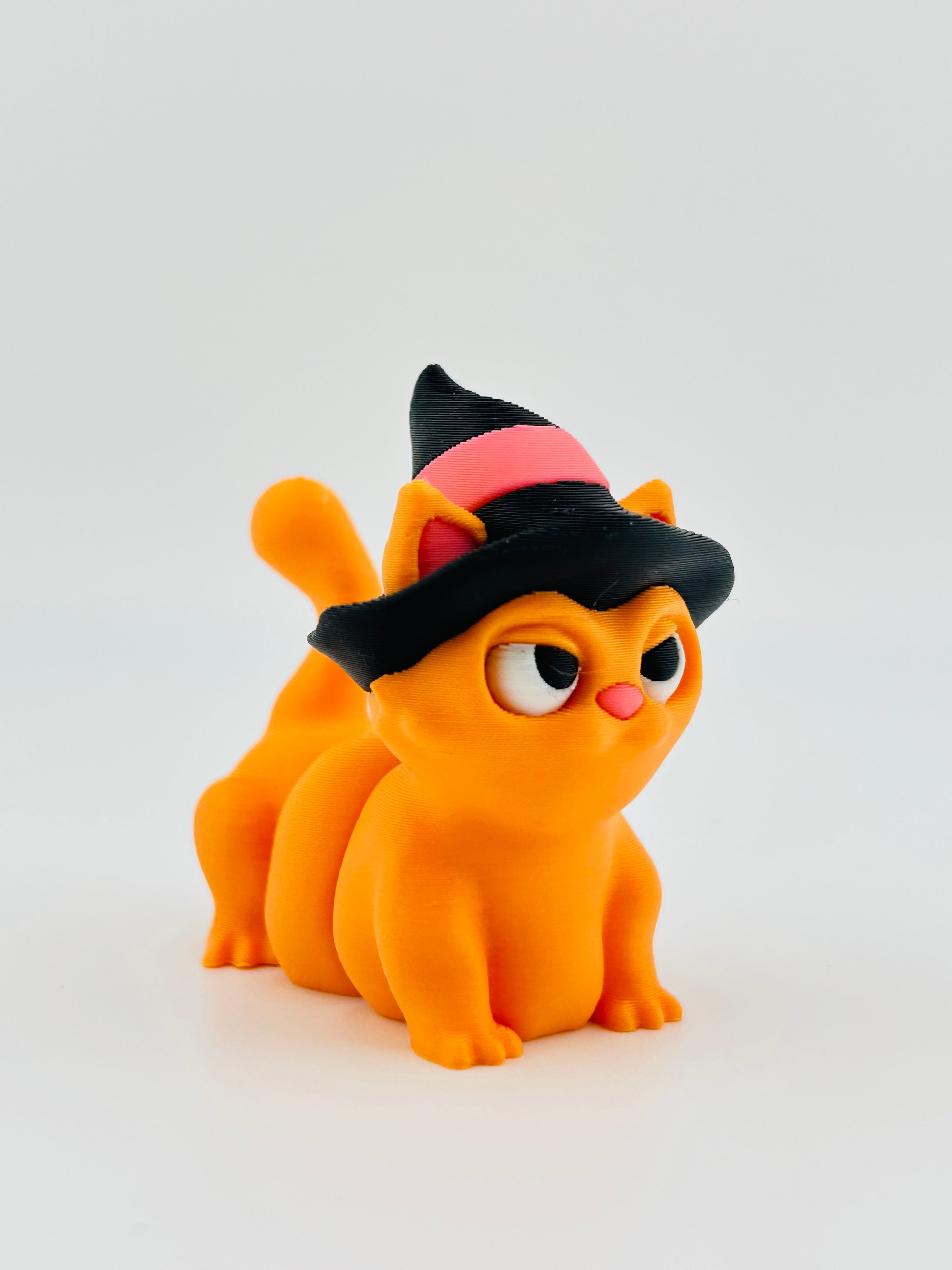 Witch Cat With Hat