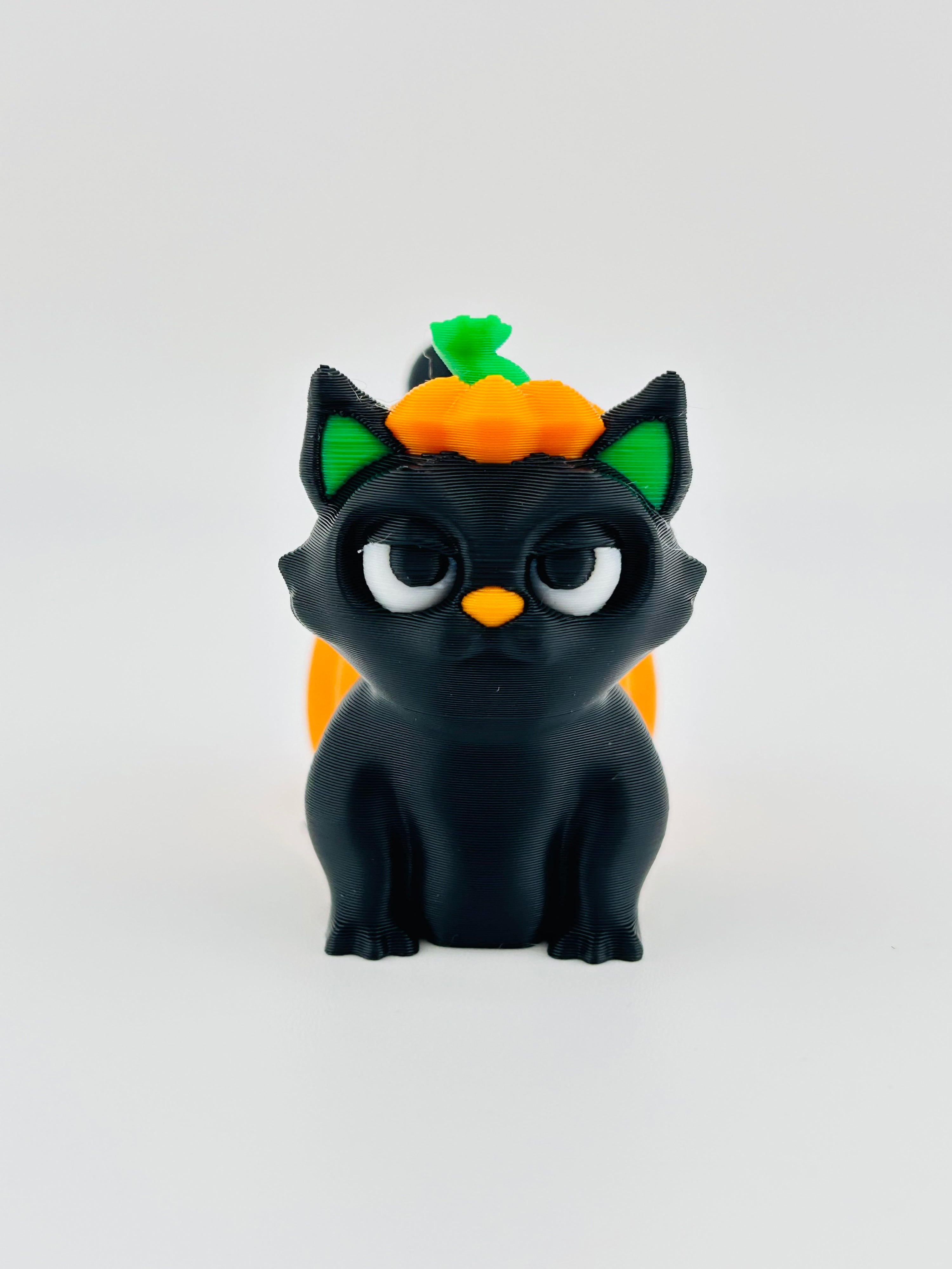 Pumpkin Cat