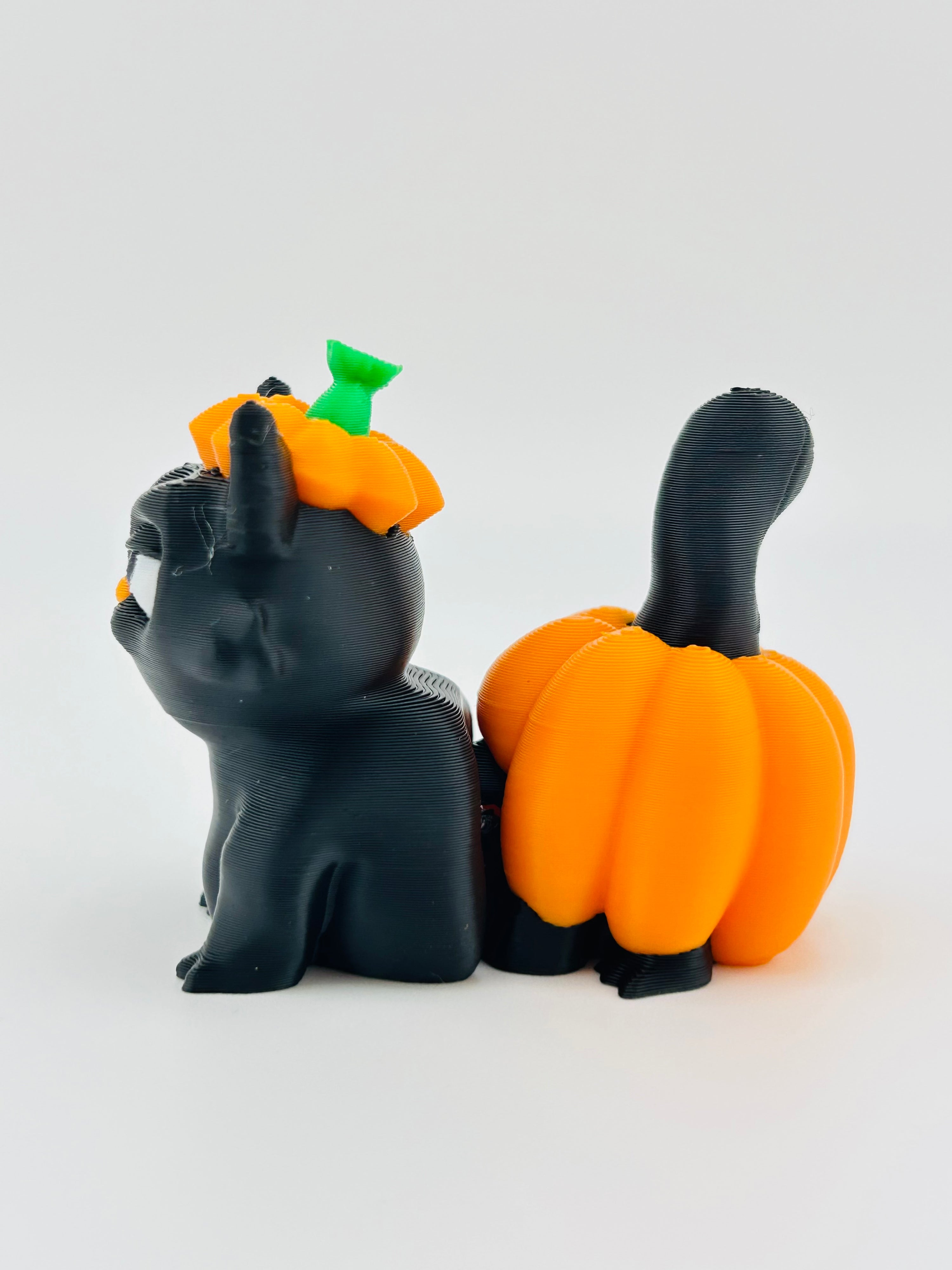 Pumpkin Cat