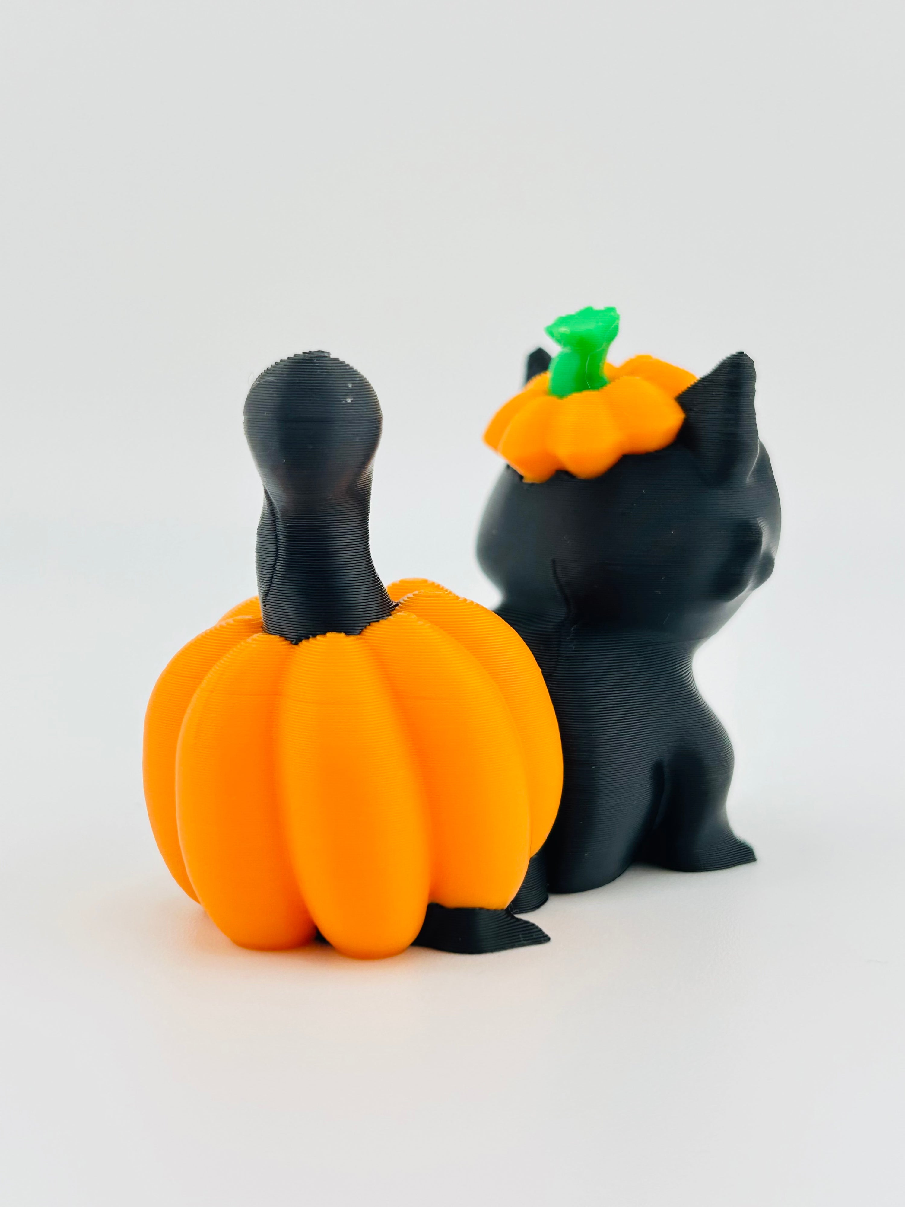 Pumpkin Cat