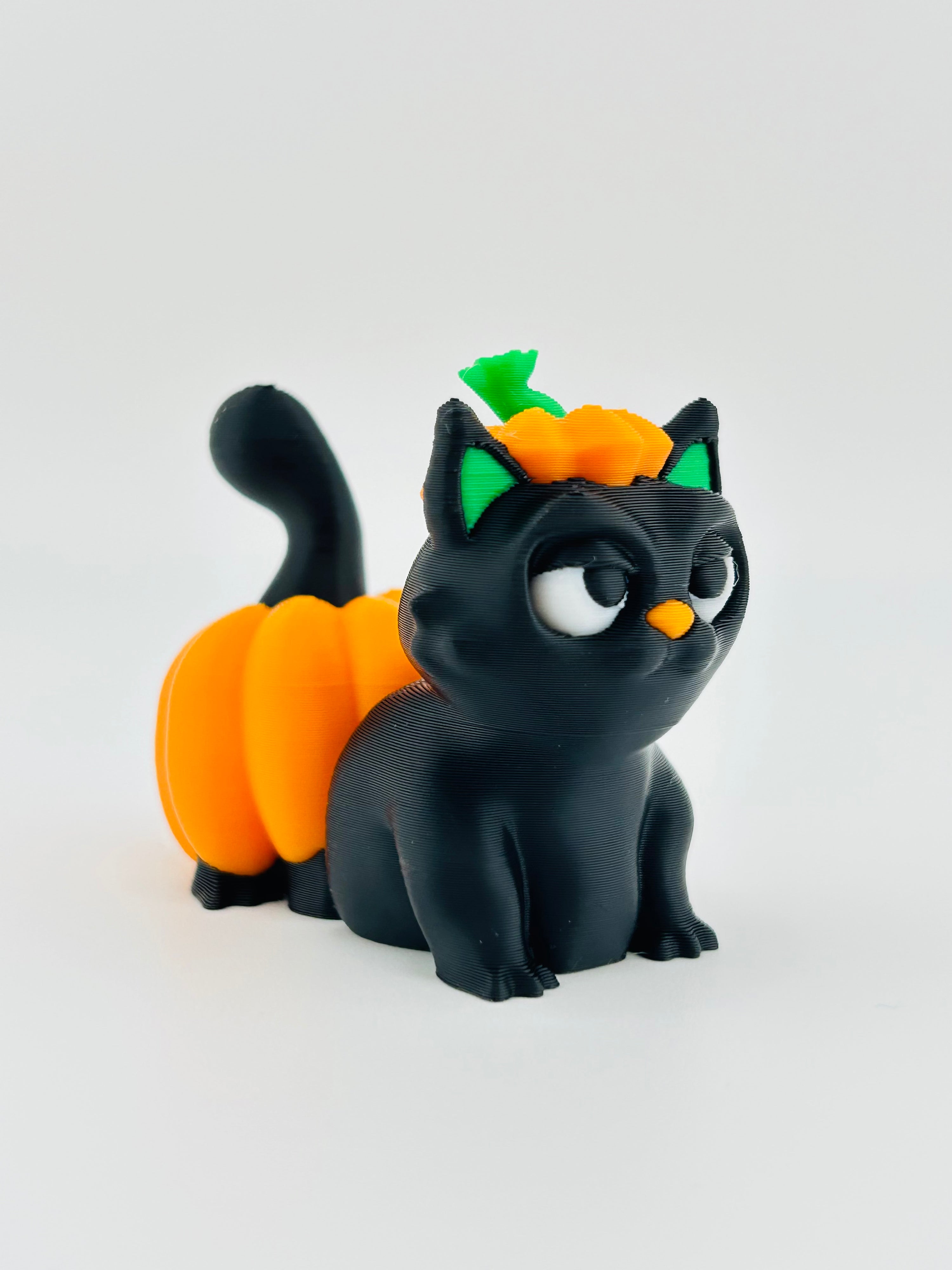 Pumpkin Cat