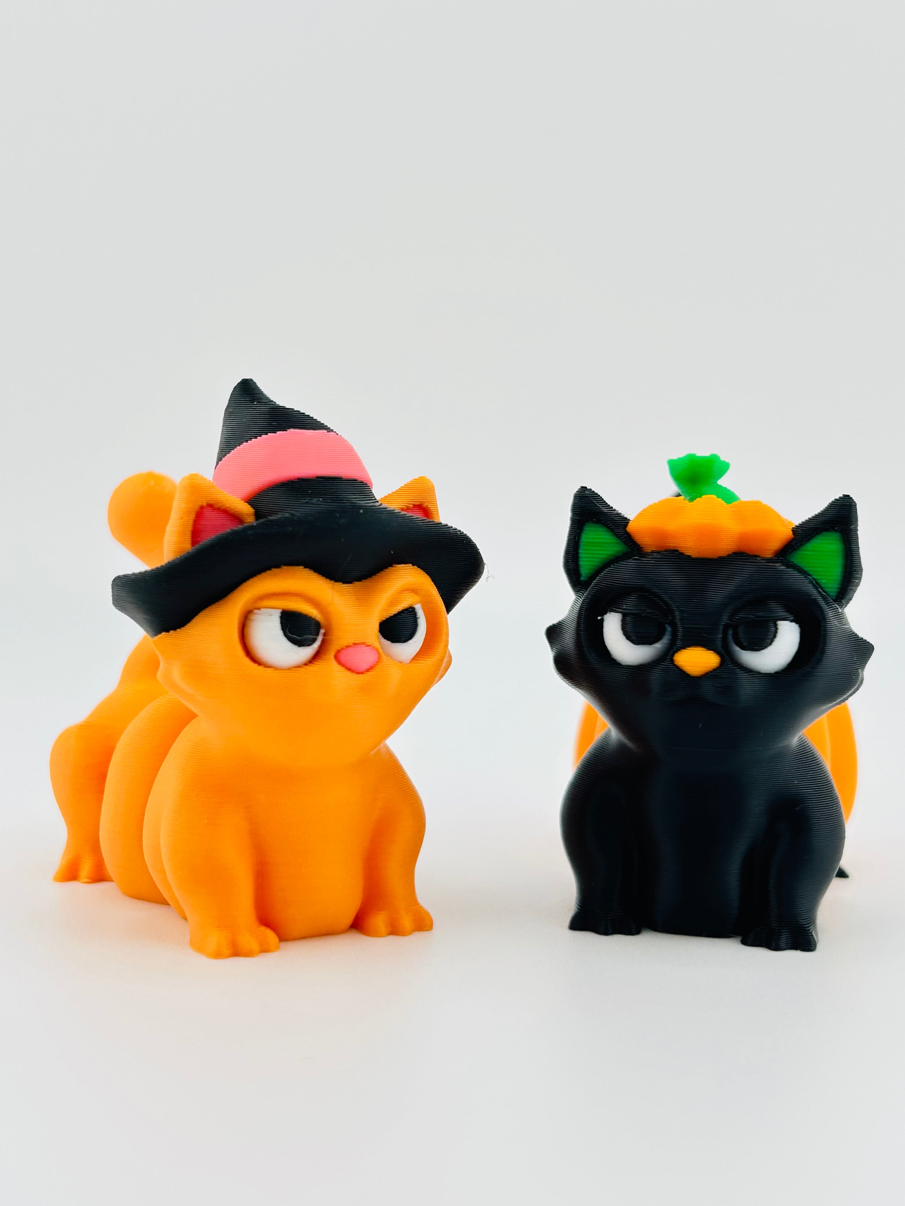 Witch Cat With Hat
