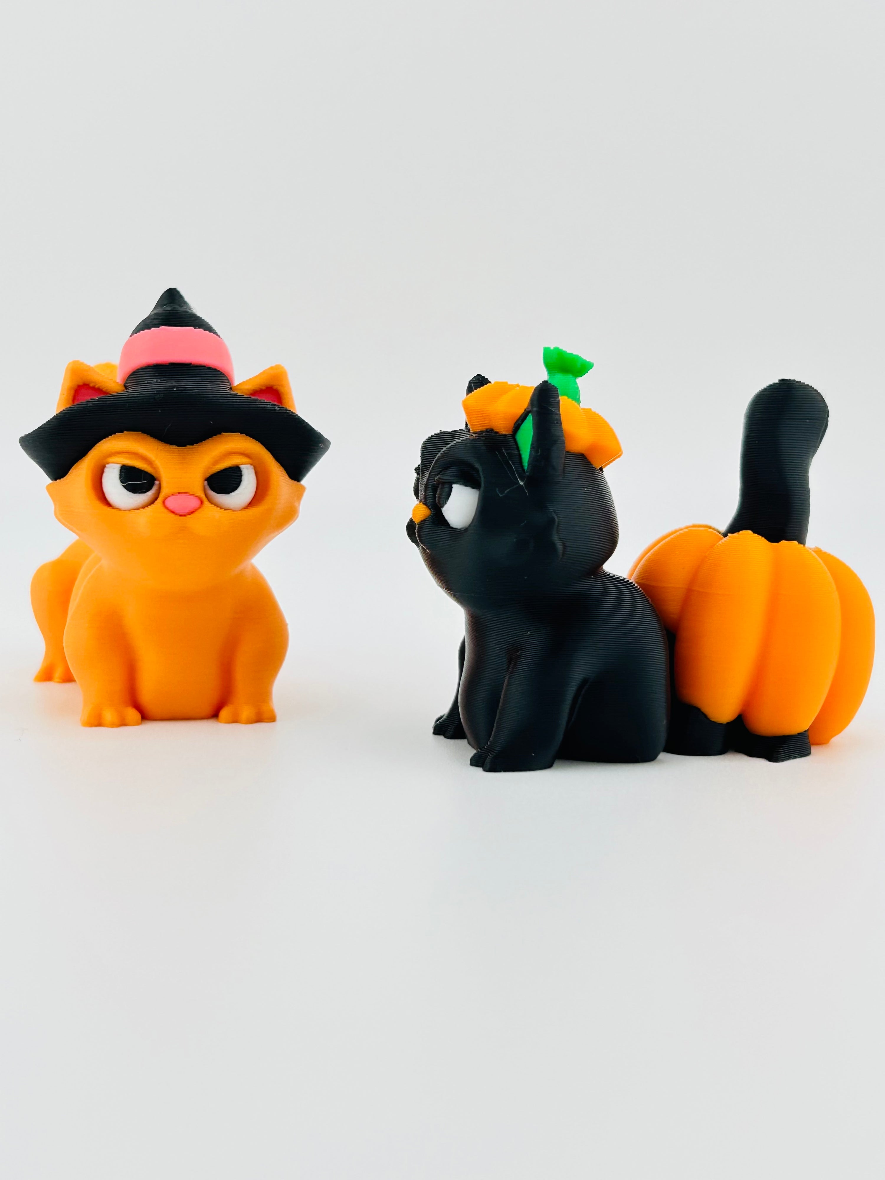 Pumpkin Cat