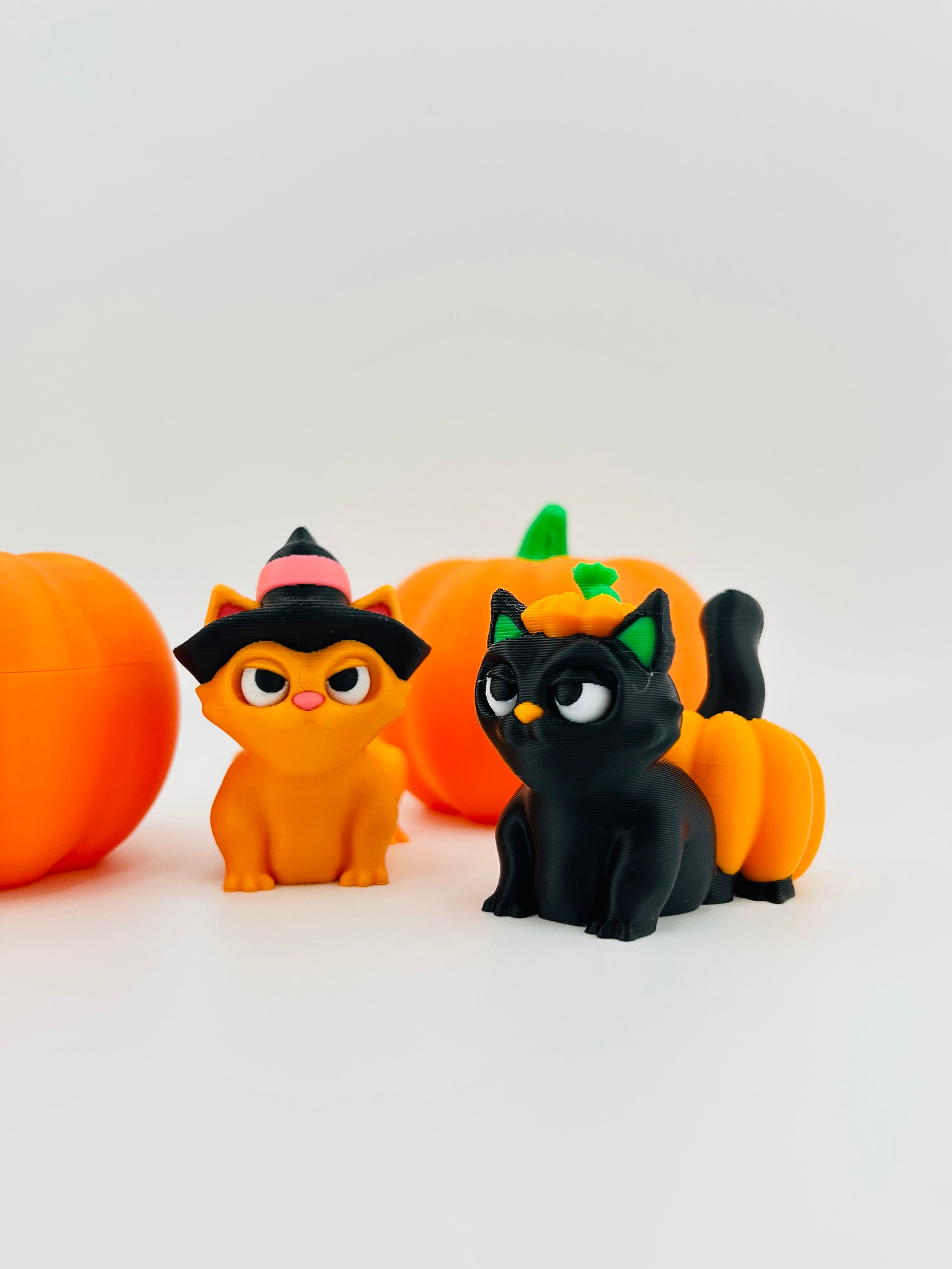 Pumpkin Cat