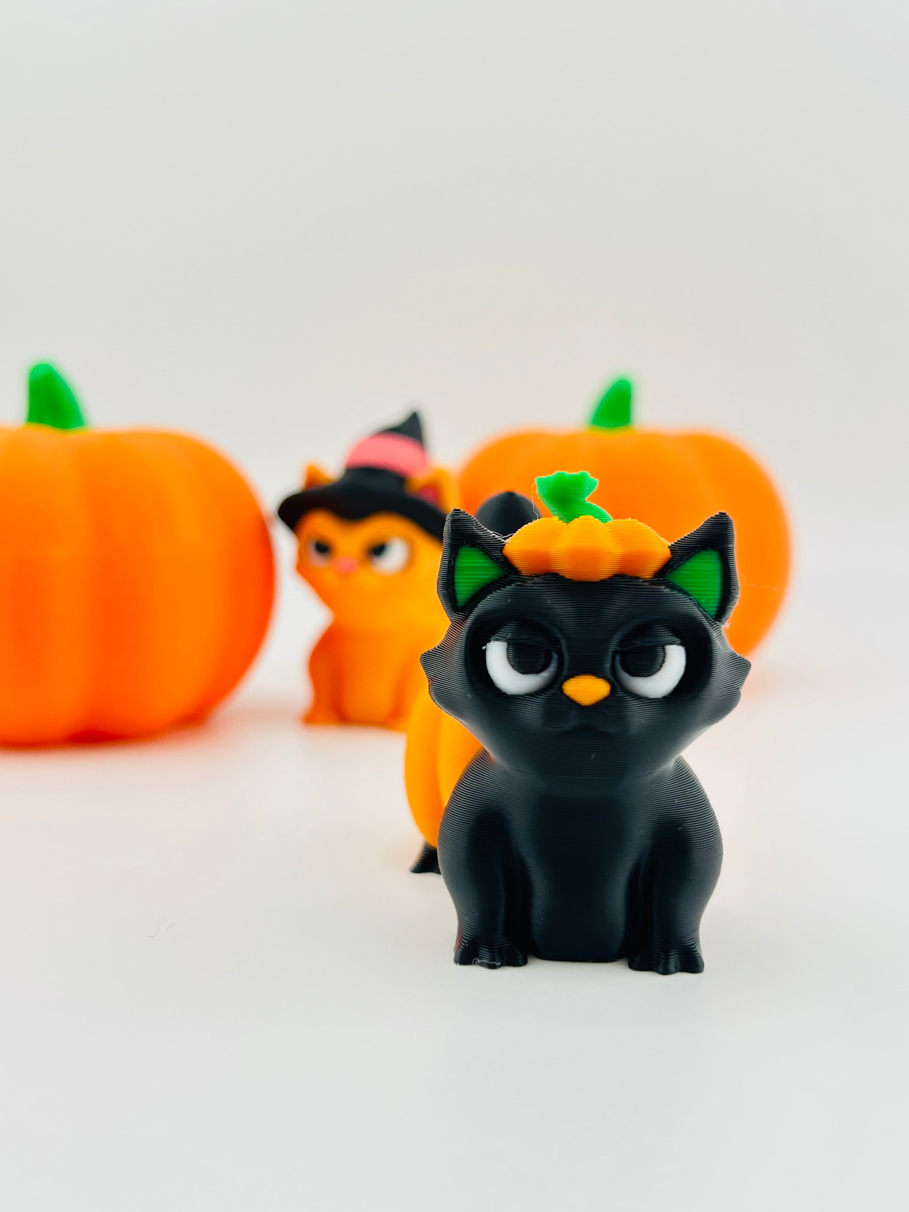 Pumpkin Cat