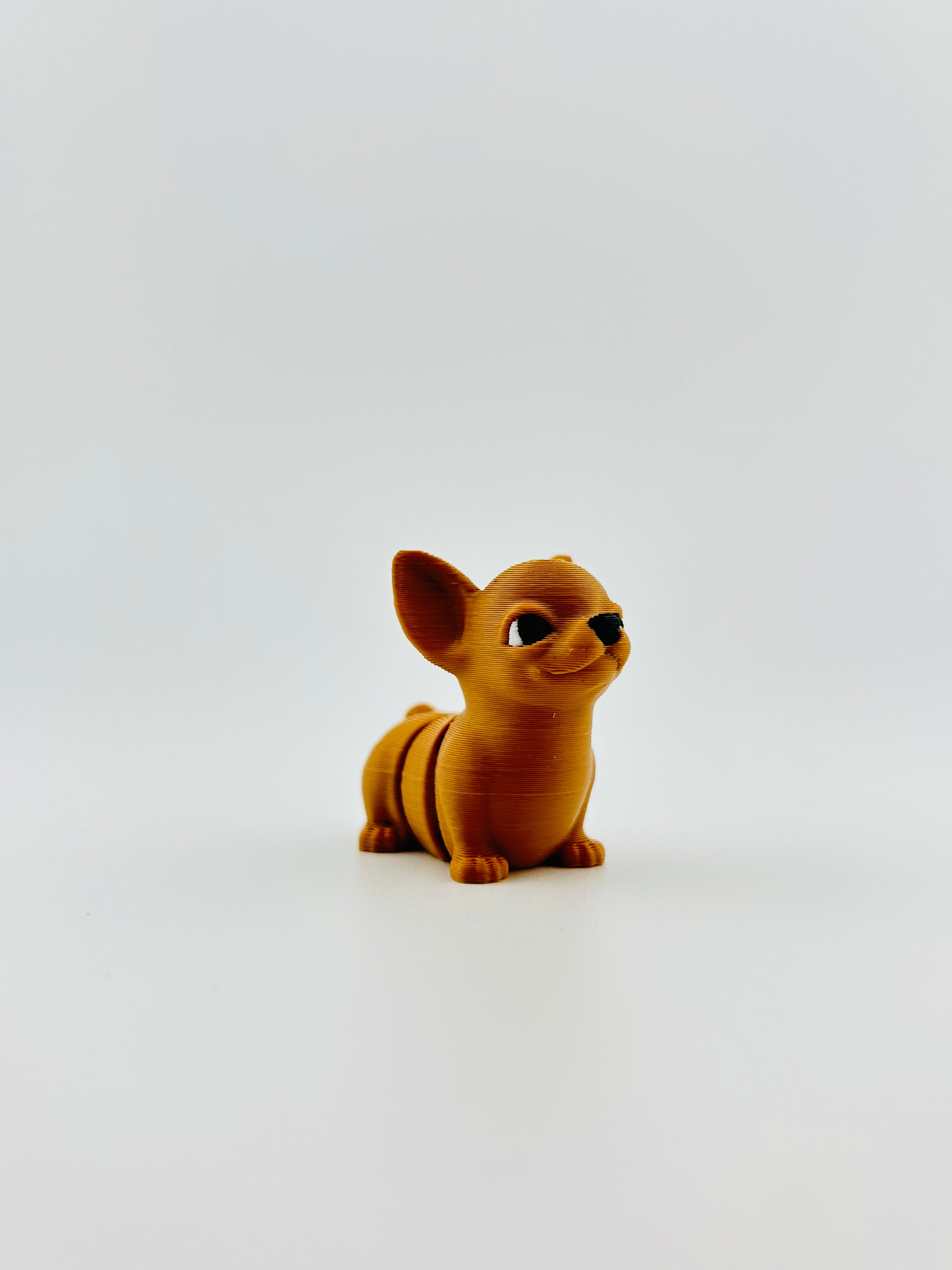 Chihuahua