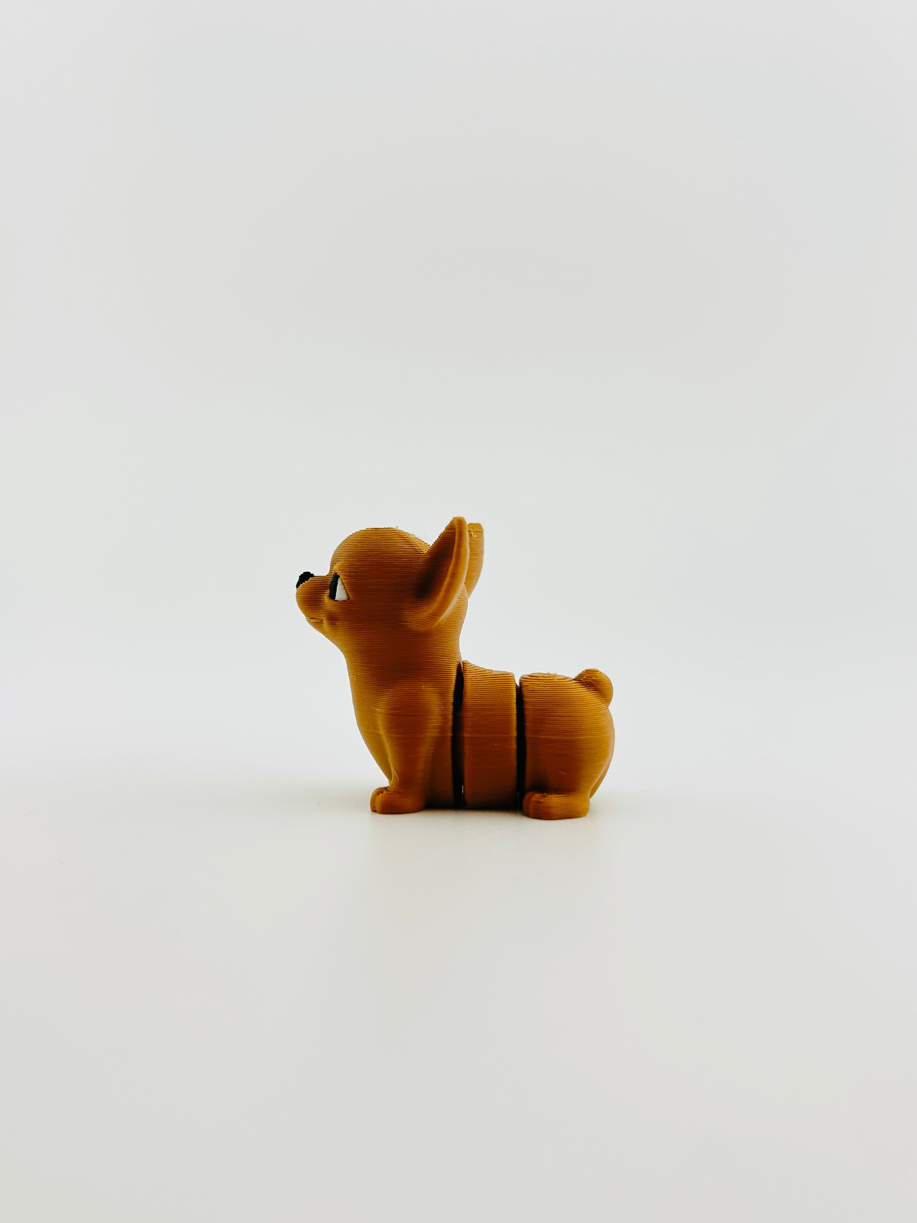 Chihuahua