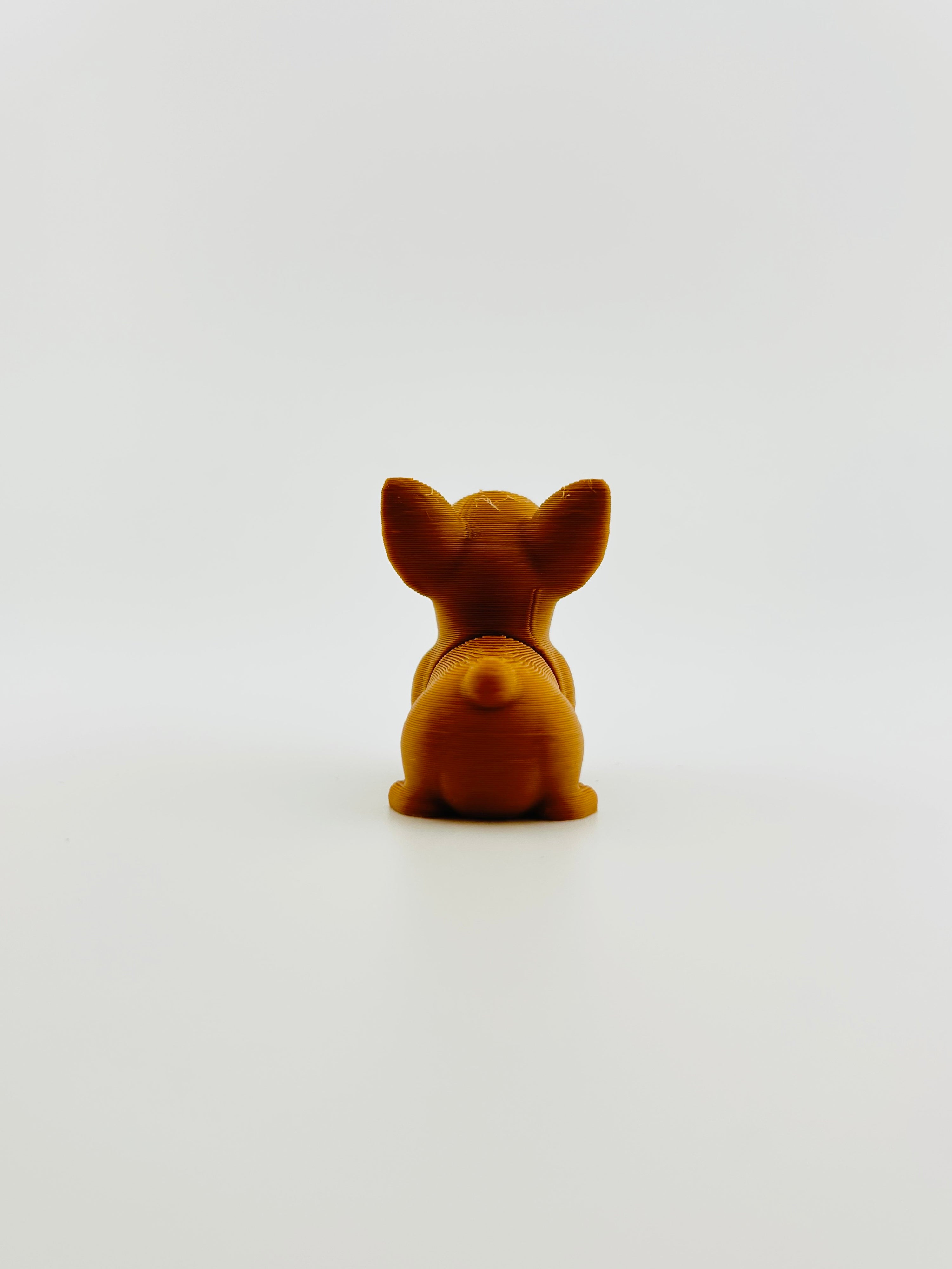 Chihuahua