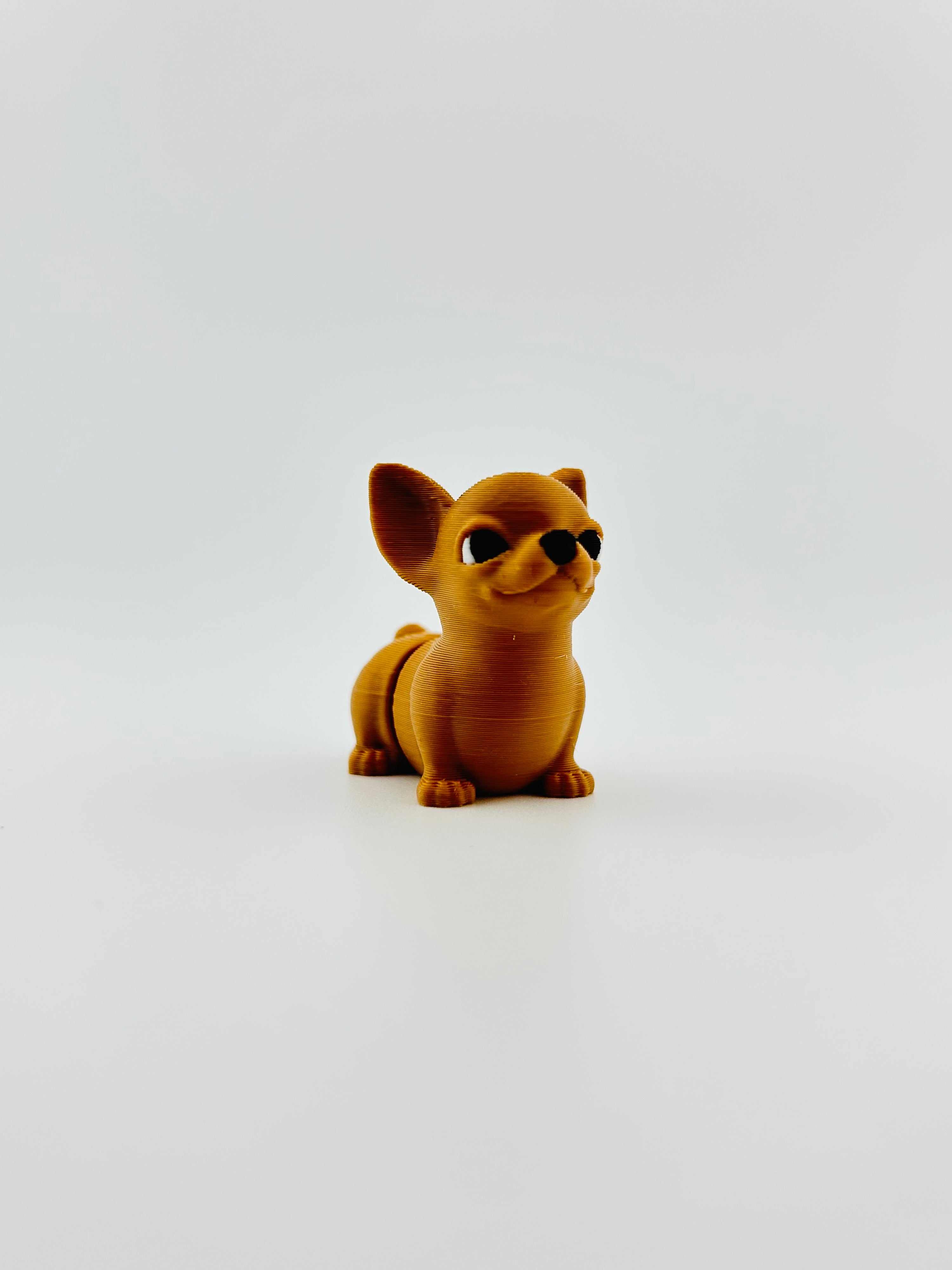 Chihuahua