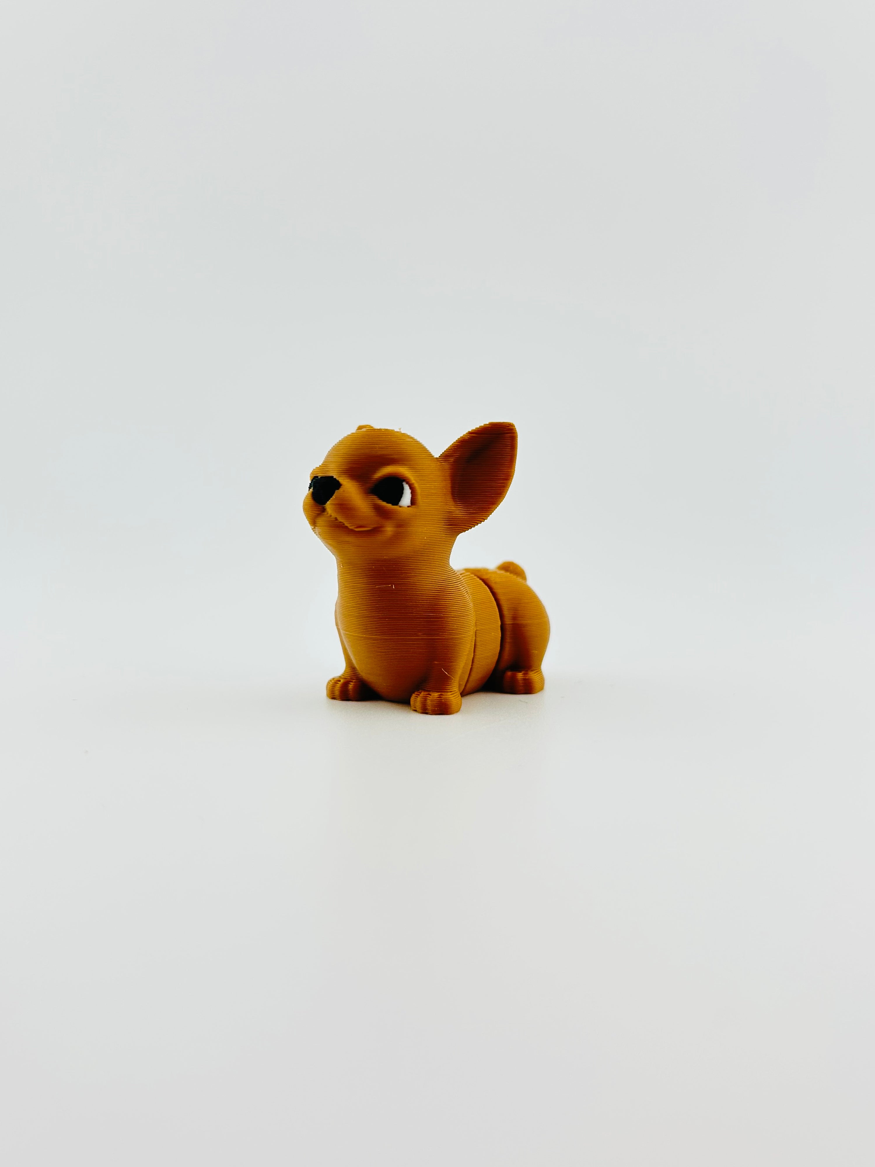 Chihuahua