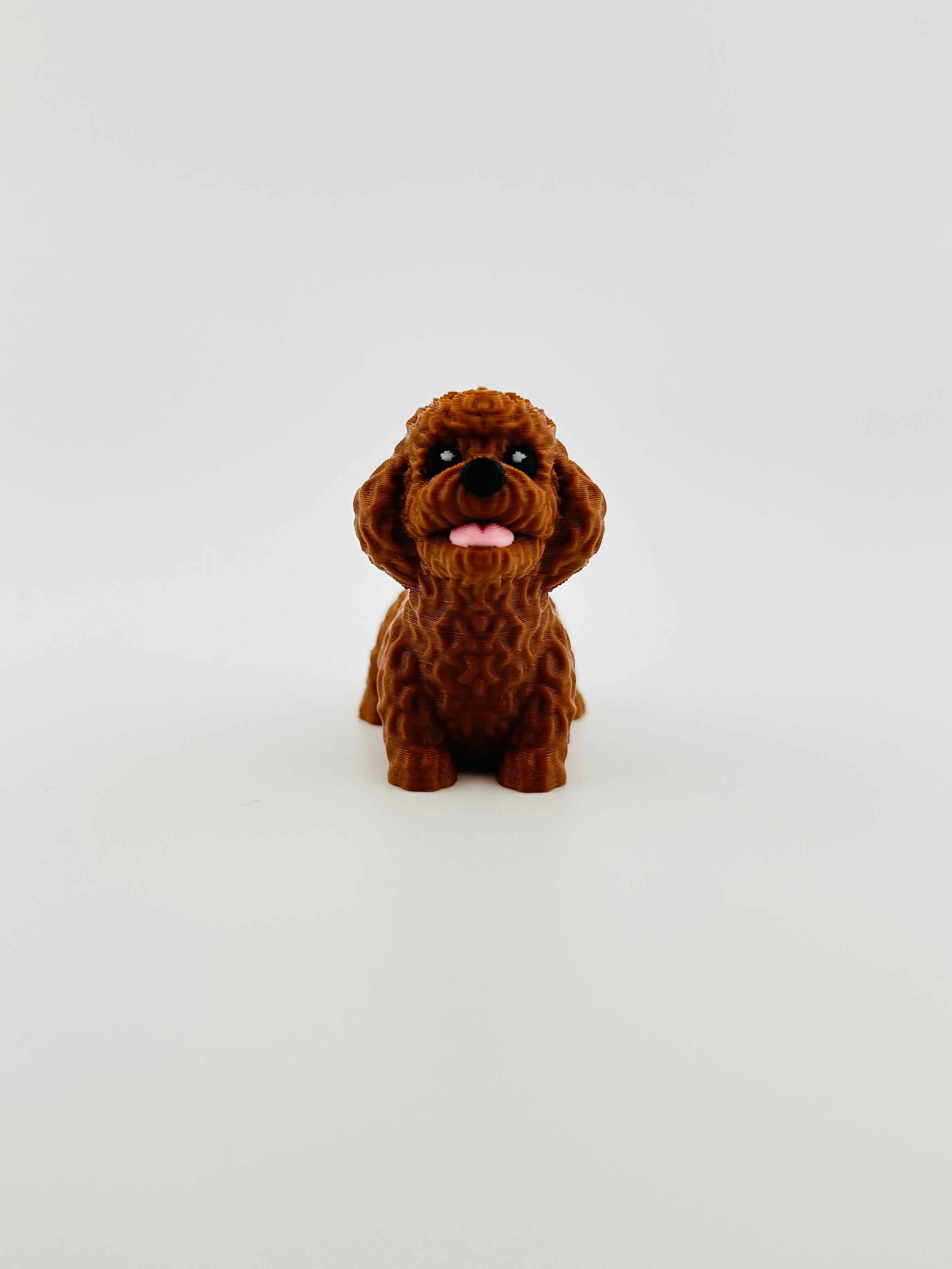 Poodle