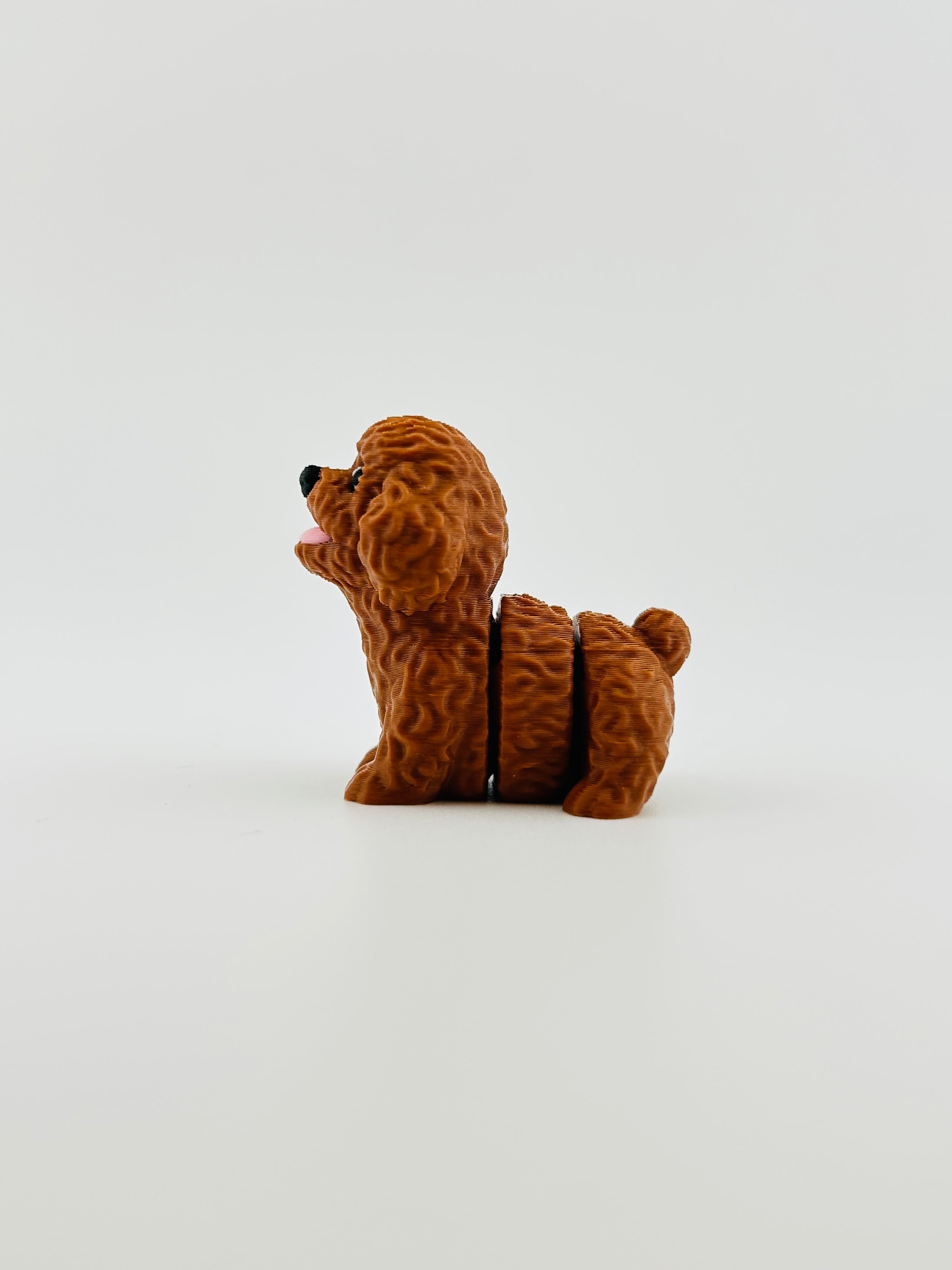 Poodle