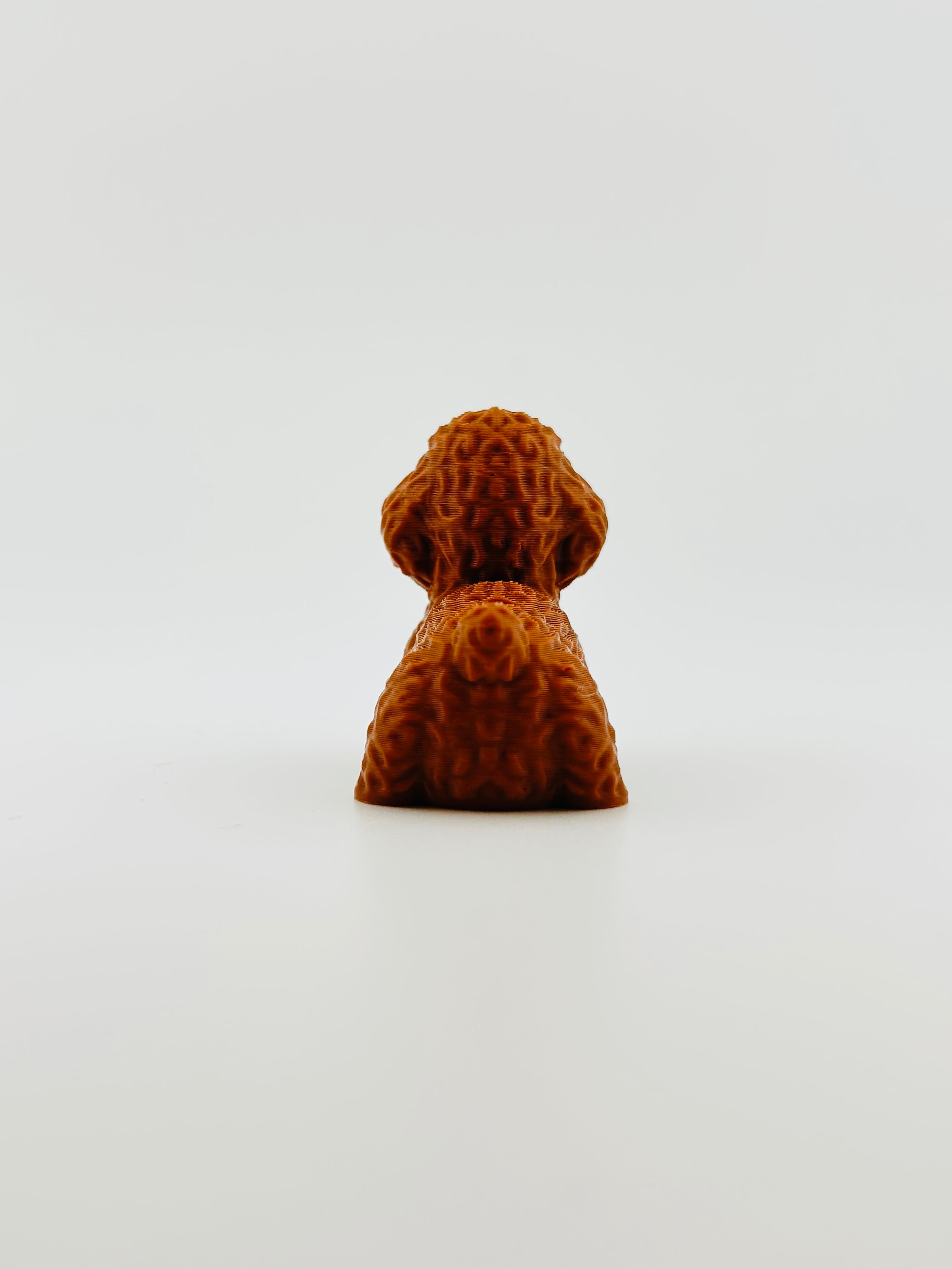 Poodle