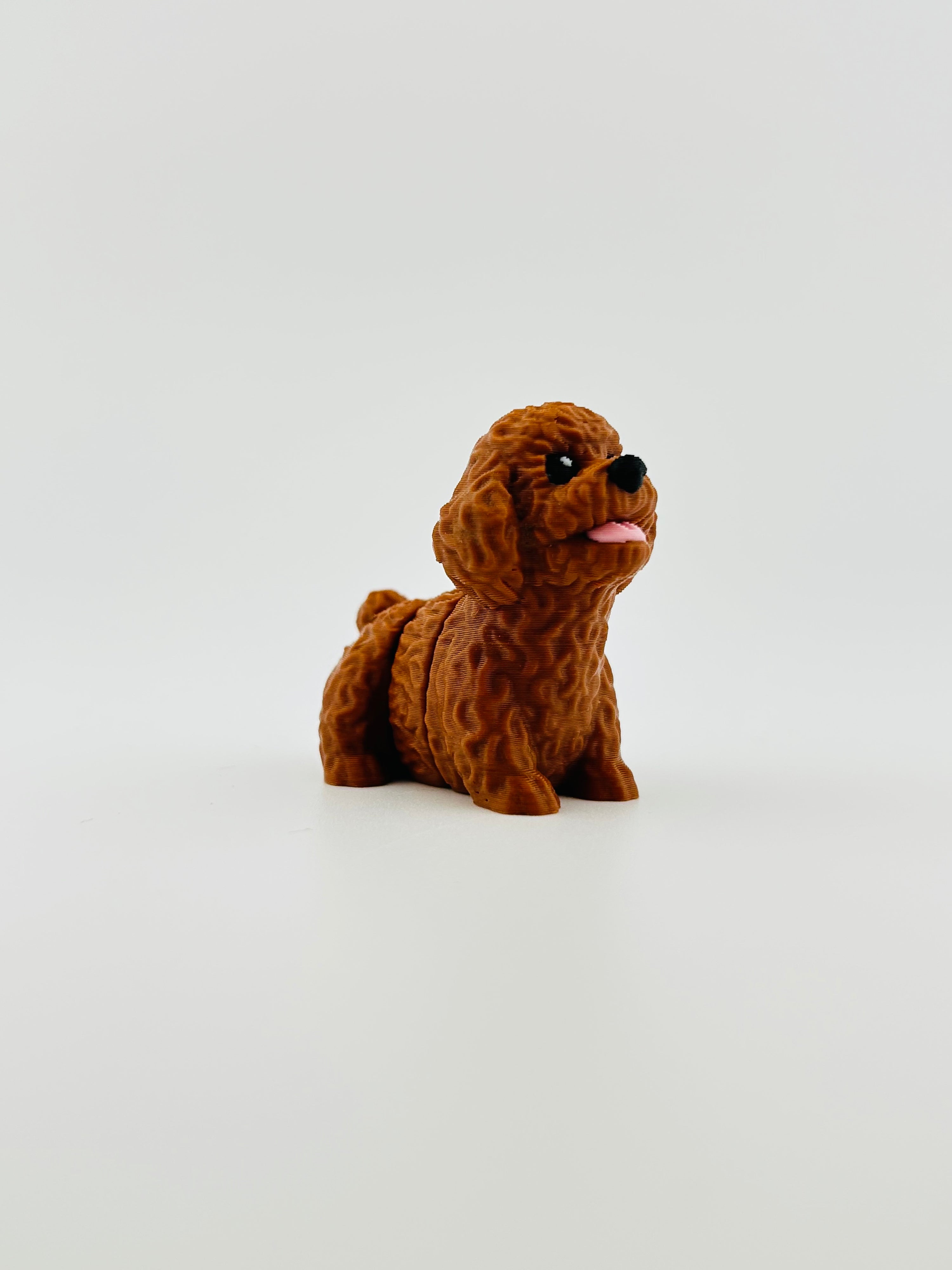 Poodle